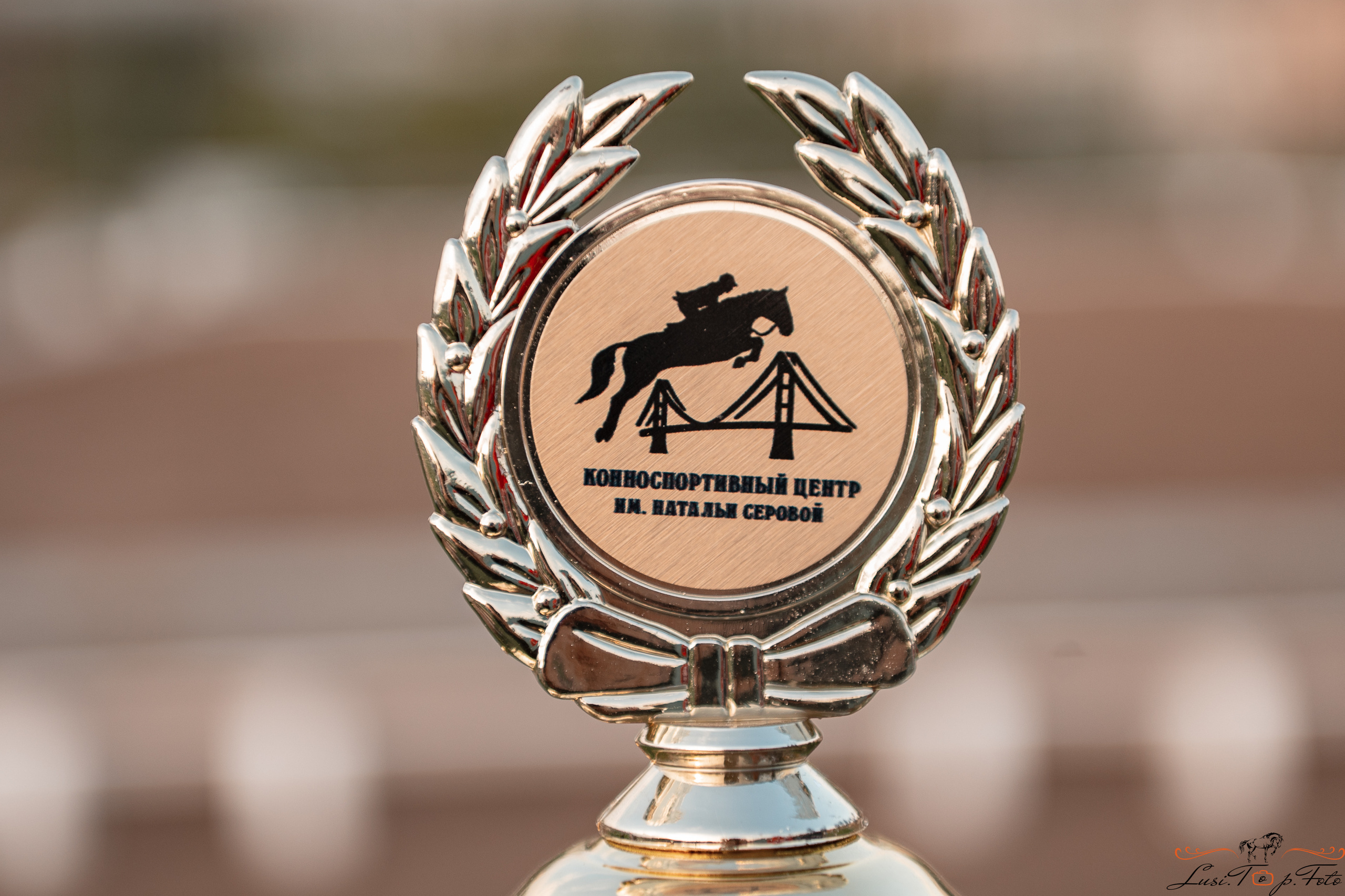 Турнир по выездке и конкуру памяти Н. Ю. Серовой (день 1 — выездка). Конный и фотограф с животными в Твери Топталова Люся