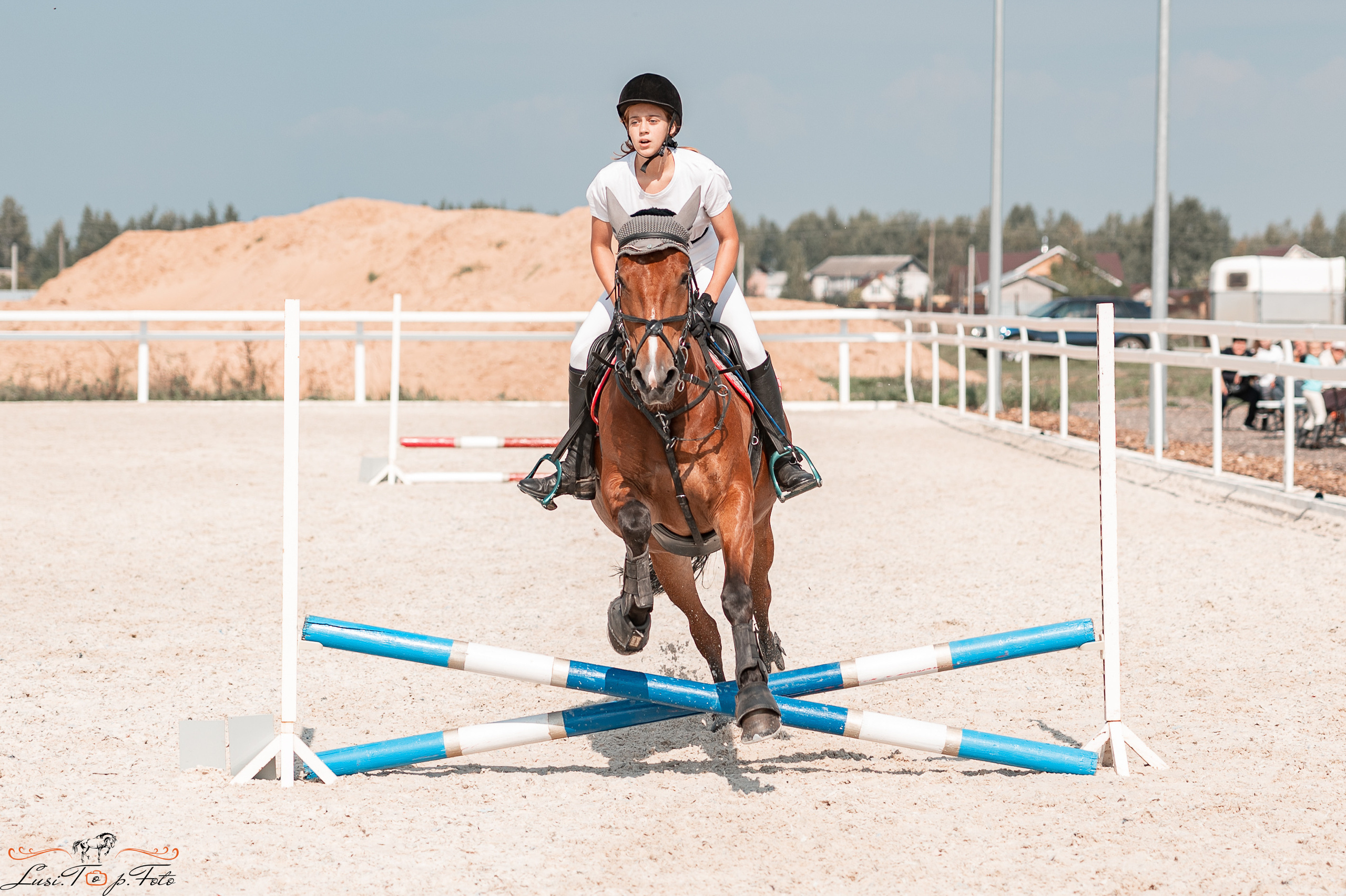 Открытая тренировка по конкуру в КК Equipark. Конный и фотограф с животными в Твери Топталова Люся