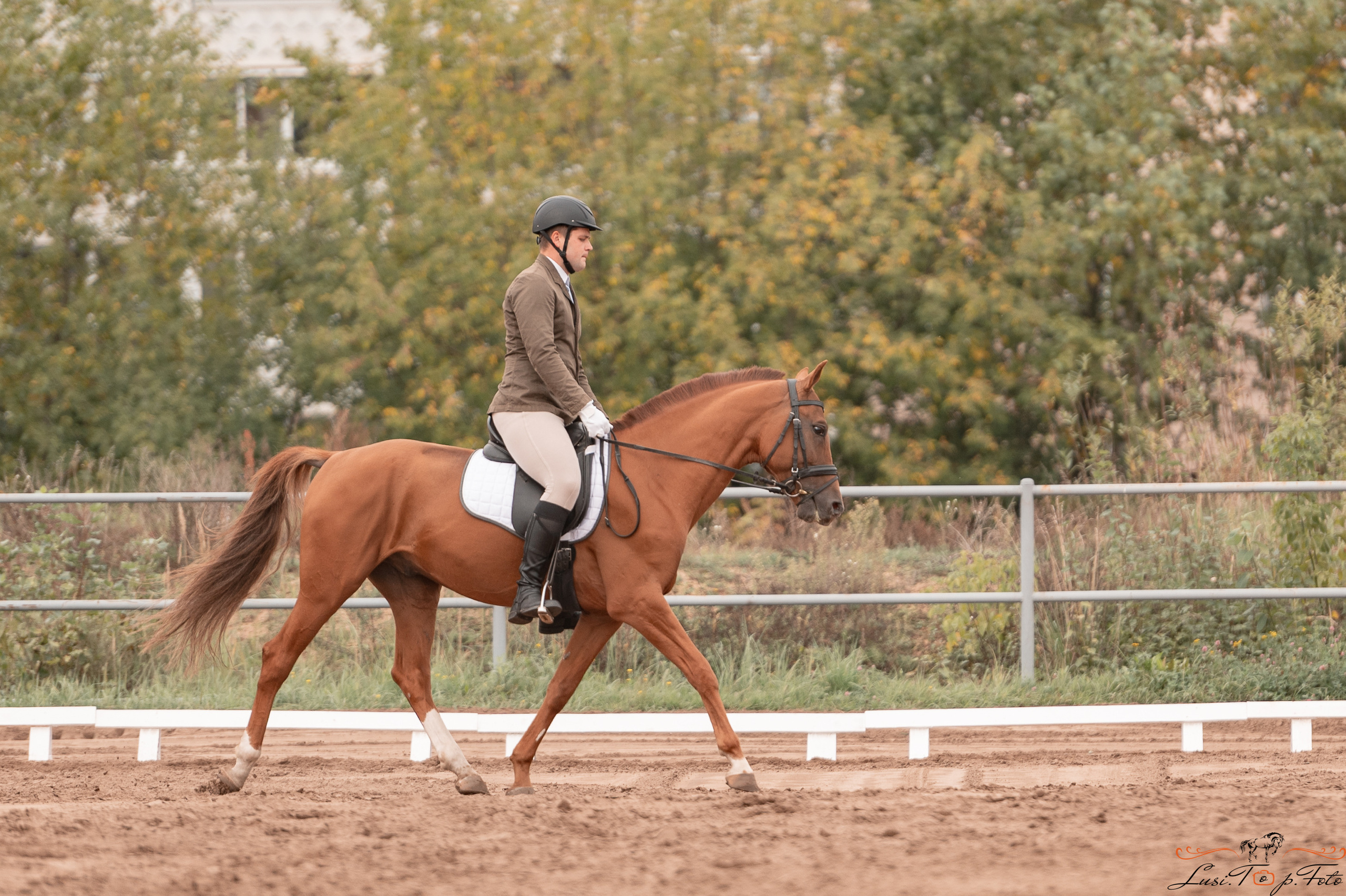 Турнир по выездке и конкуру памяти Н. Ю. Серовой (день 1 — выездка). Конный и фотограф с животными в Твери Топталова Люся