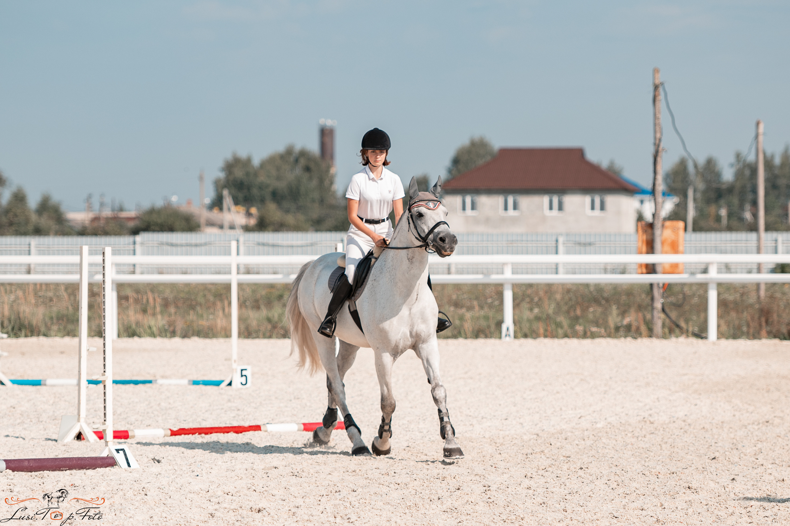 Открытая тренировка по конкуру в КК Equipark. Конный и фотограф с животными в Твери Топталова Люся