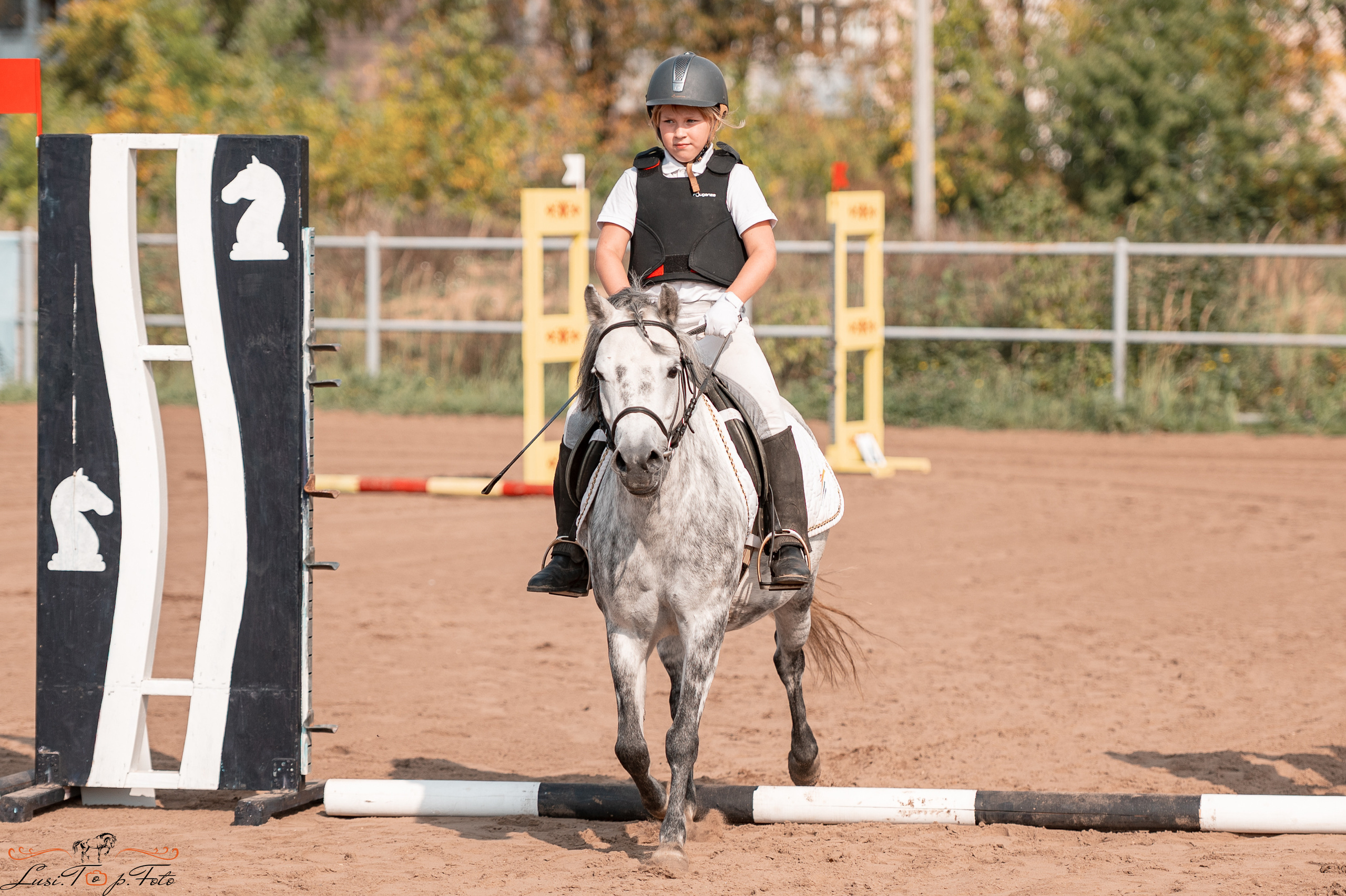 Турнир по выездке и конкуру памяти Н. Ю. Серовой (второй день — конкур). Конный и фотограф с животными в Твери Топталова Люся