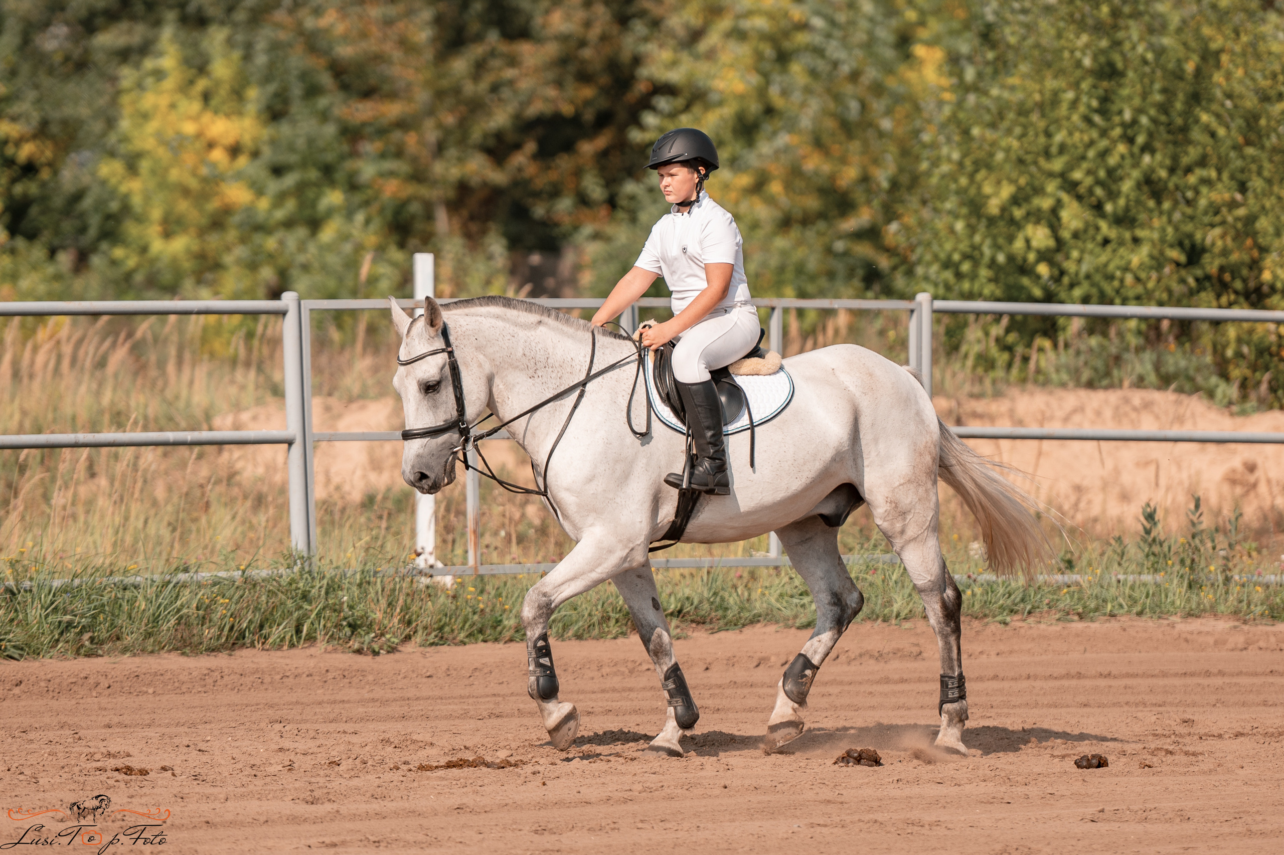Турнир по выездке и конкуру памяти Н. Ю. Серовой (второй день — конкур). Конный и фотограф с животными в Твери Топталова Люся