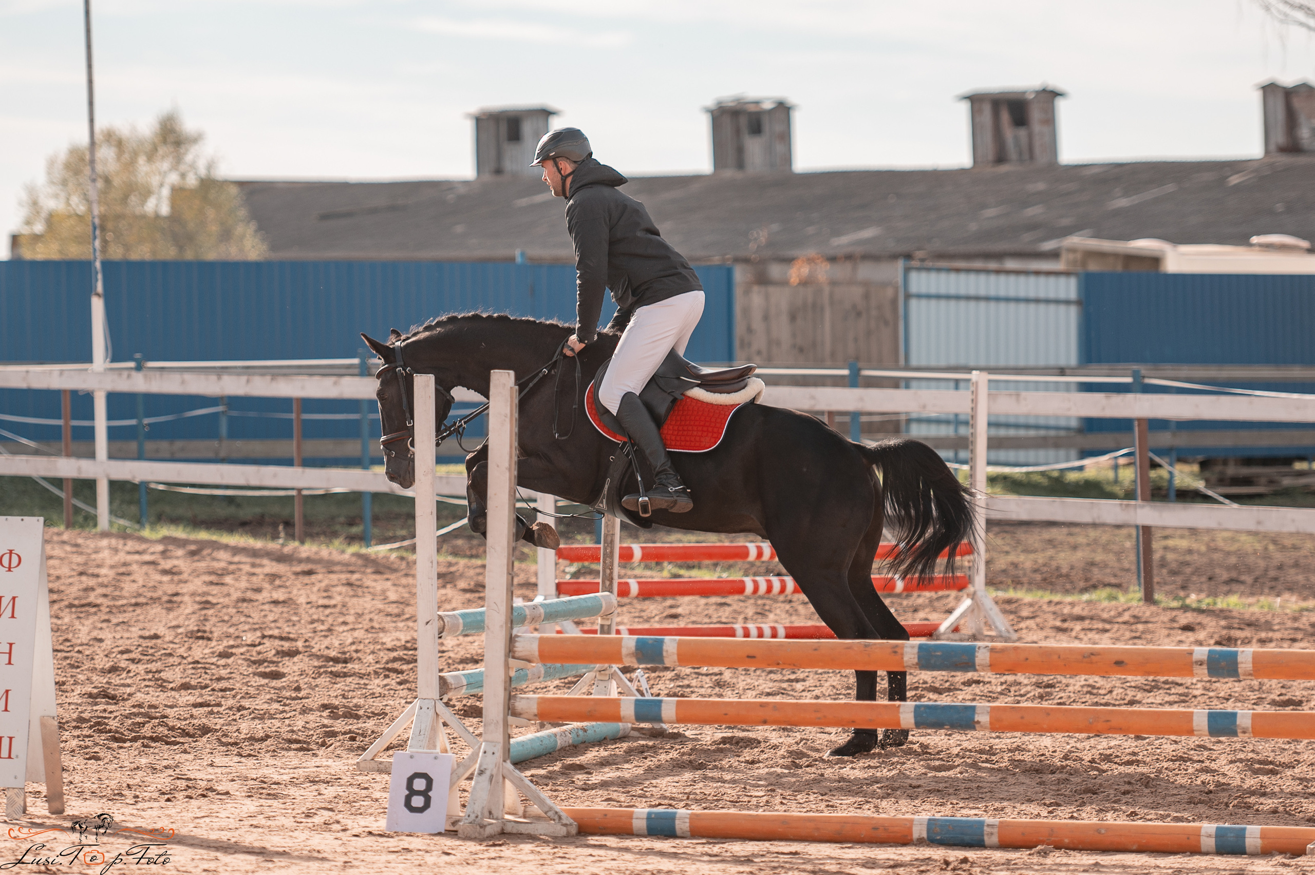 Открытая тренировка КК «Резвая». Конный и фотограф с животными в Твери Топталова Люся