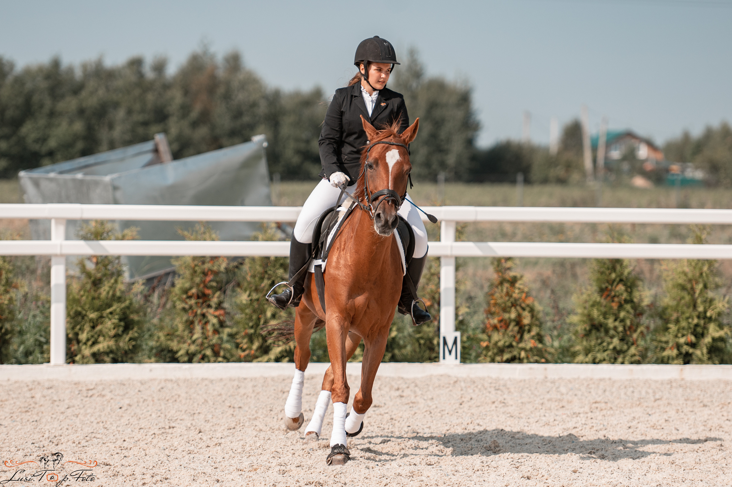 Открытая тренировка по конкуру в КК Equipark. Конный и фотограф с животными в Твери Топталова Люся