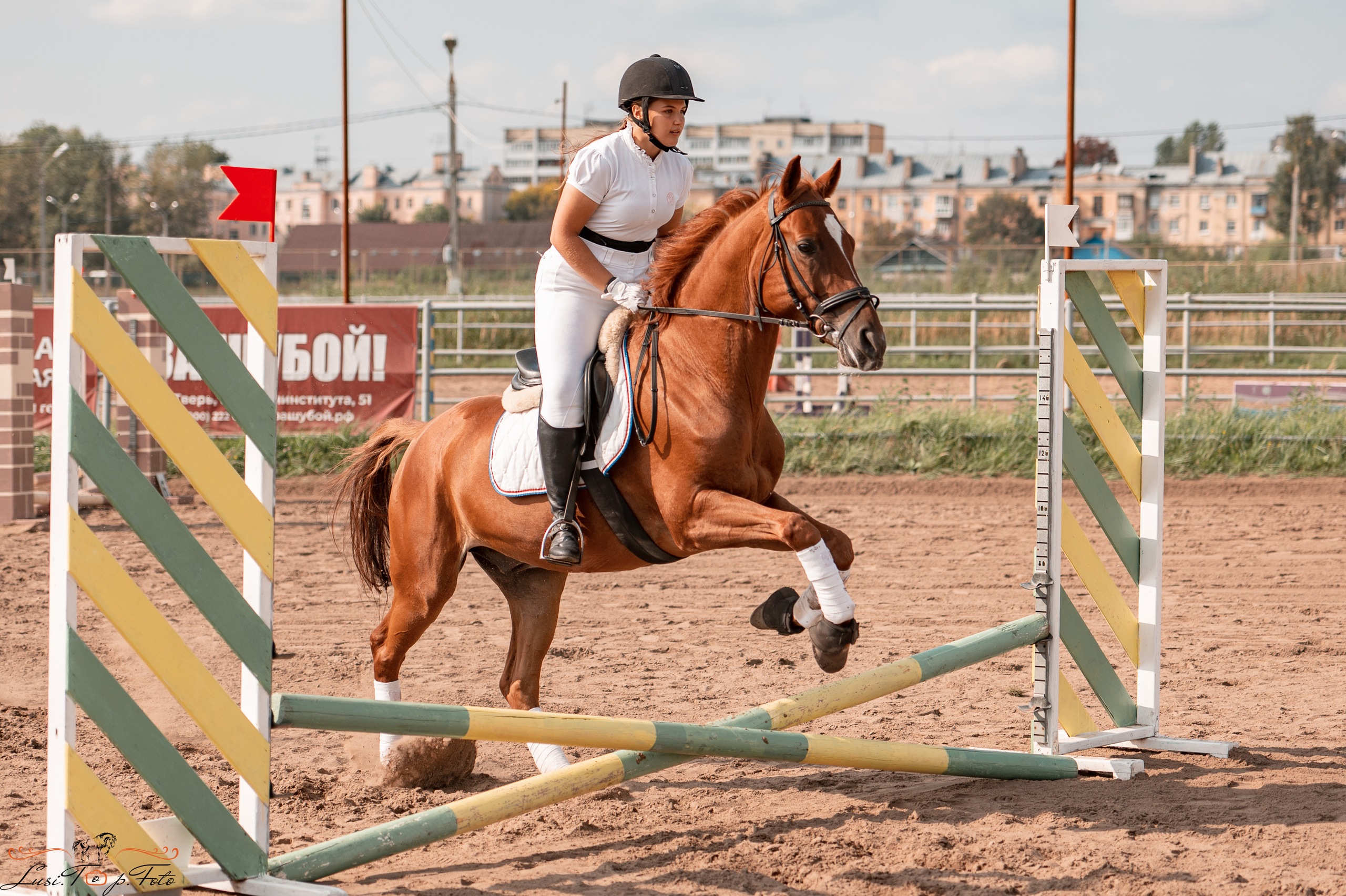 Турнир по выездке и конкуру памяти Н. Ю. Серовой (второй день — конкур). Конный и фотограф с животными в Твери Топталова Люся