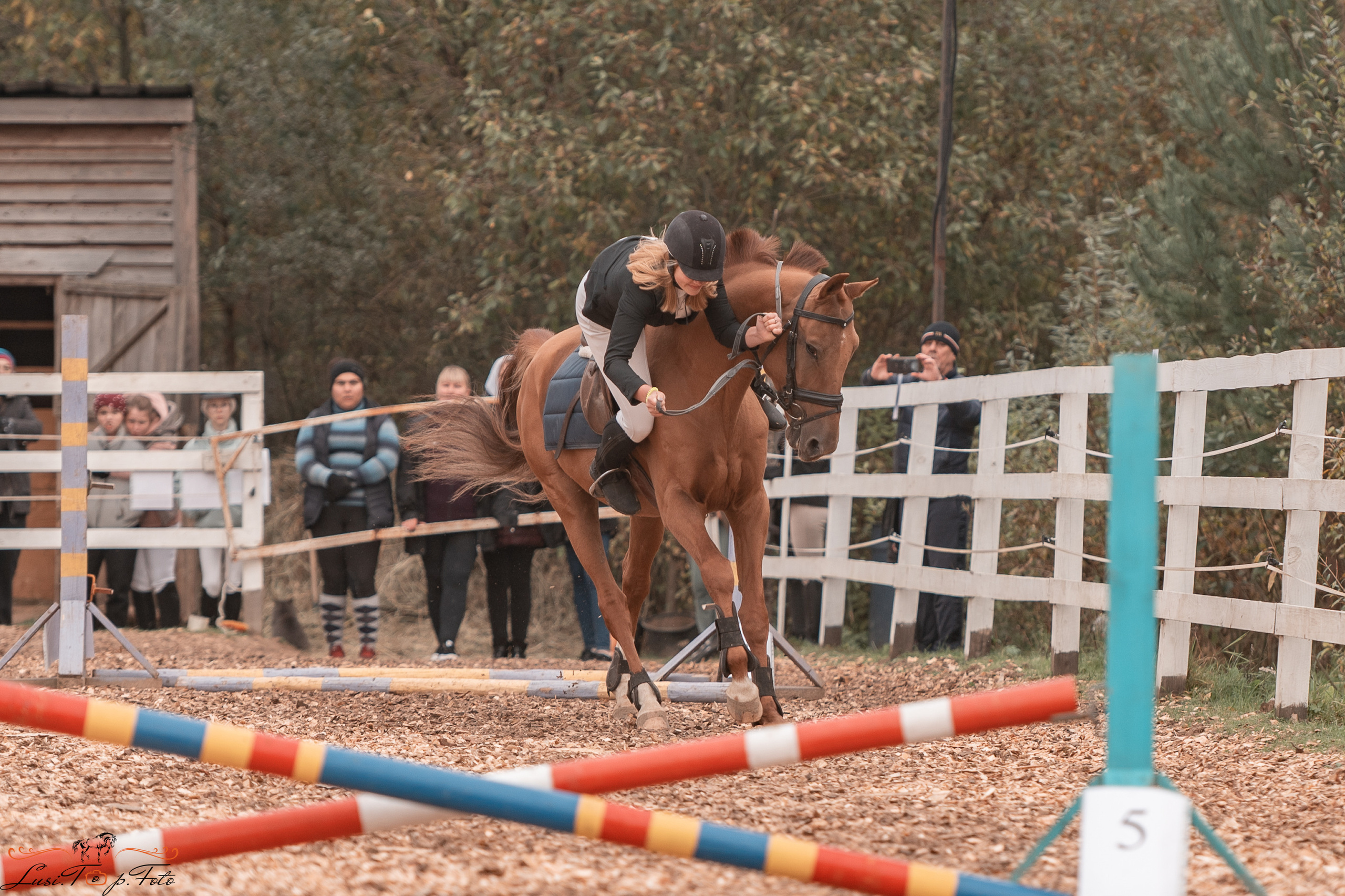 КК Траверсале Конкур. Конный и фотограф с животными в Твери Топталова Люся