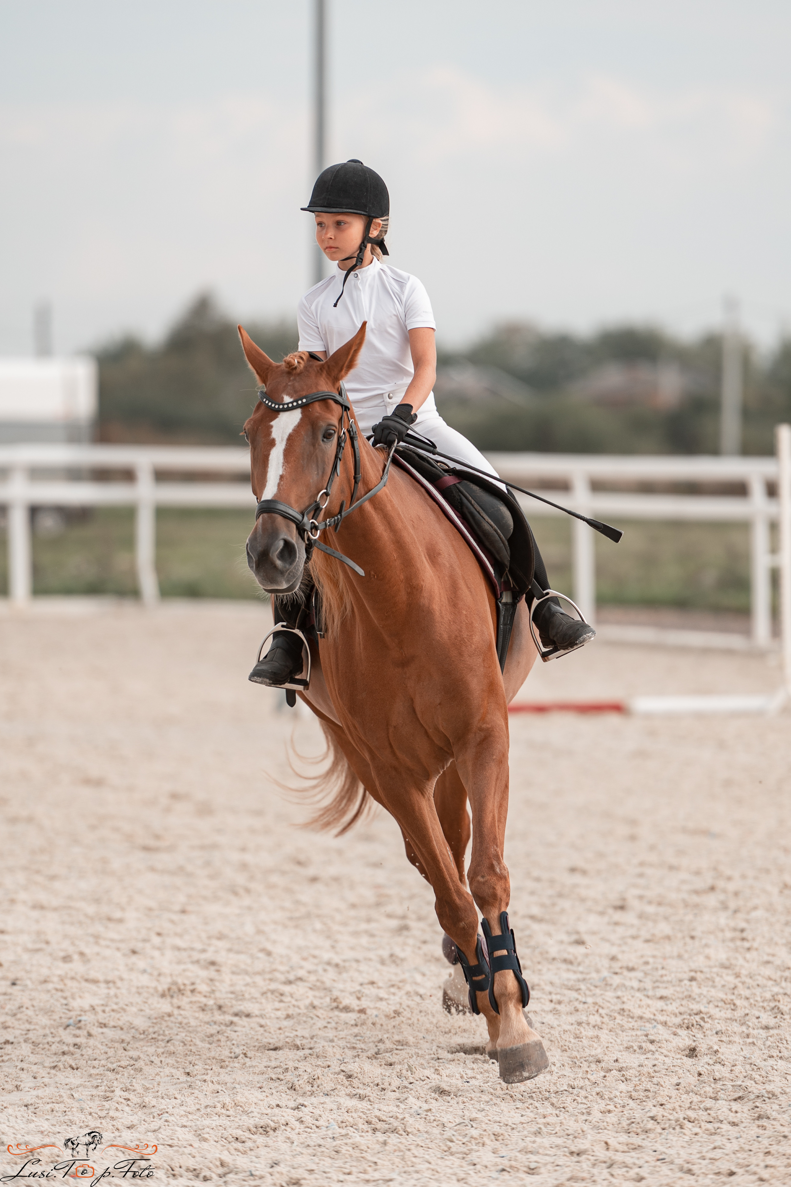 Открытая тренировка по конкуру в КК Equipark. Конный и фотограф с животными в Твери Топталова Люся