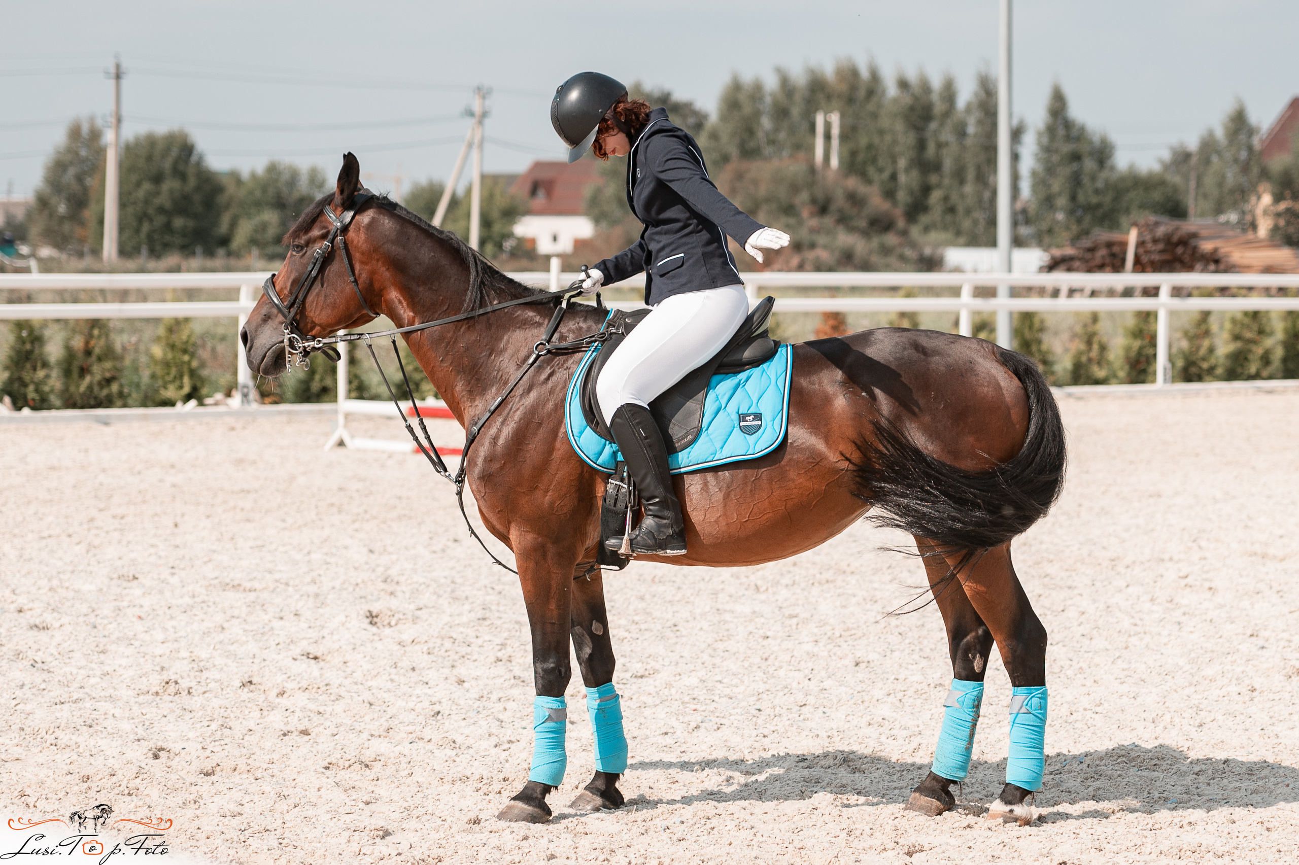 Открытая тренировка по конкуру в КК Equipark. Конный и фотограф с животными в Твери Топталова Люся