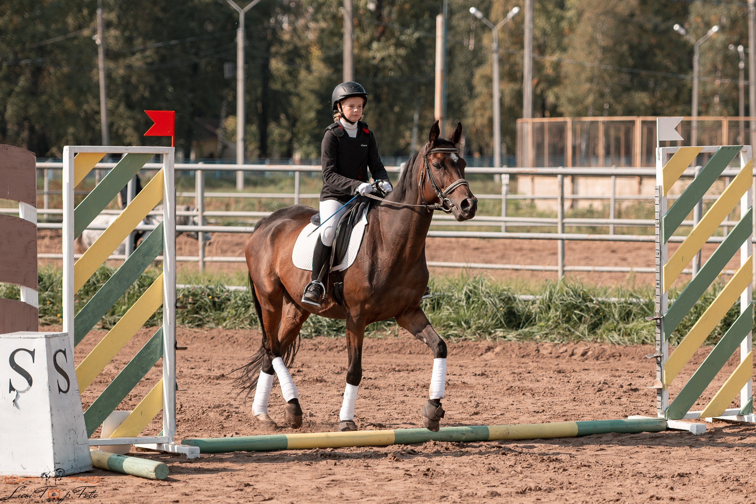 Турнир по выездке и конкуру памяти Н. Ю. Серовой (второй день — конкур). Конный и фотограф с животными в Твери Топталова Люся