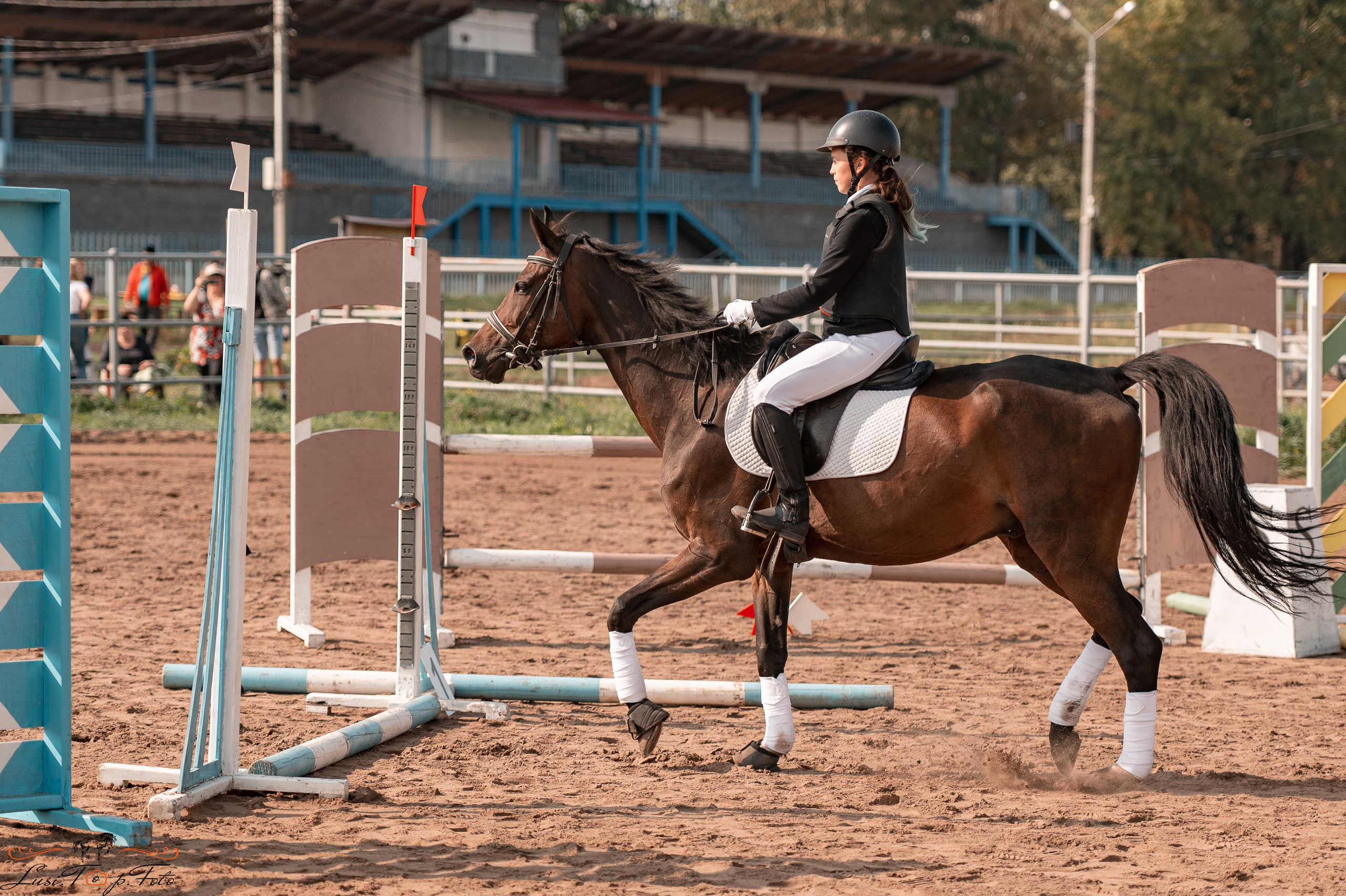 Турнир по выездке и конкуру памяти Н. Ю. Серовой (второй день — конкур). Конный и фотограф с животными в Твери Топталова Люся