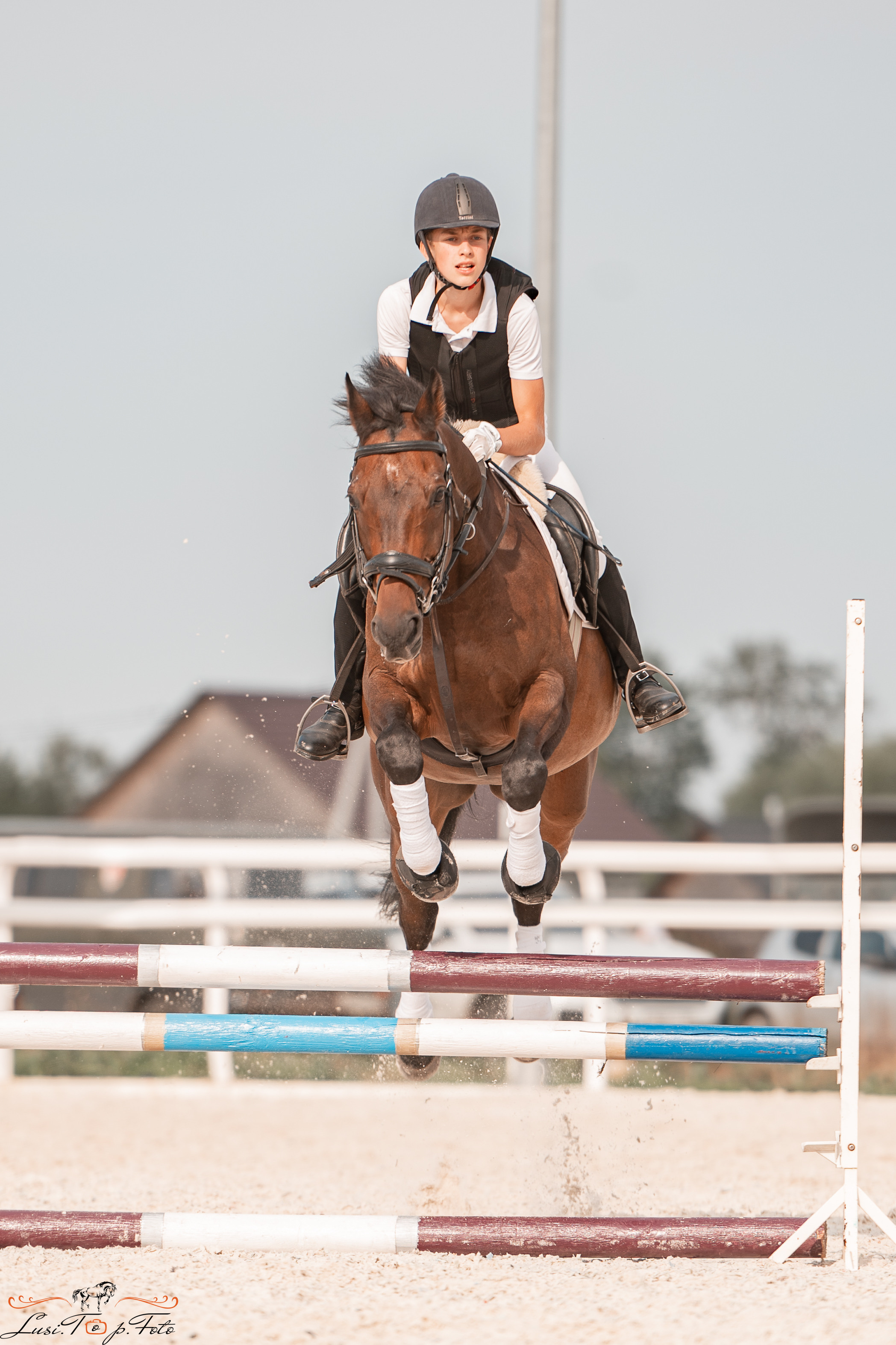 Открытая тренировка по конкуру в КК Equipark. Конный и фотограф с животными в Твери Топталова Люся