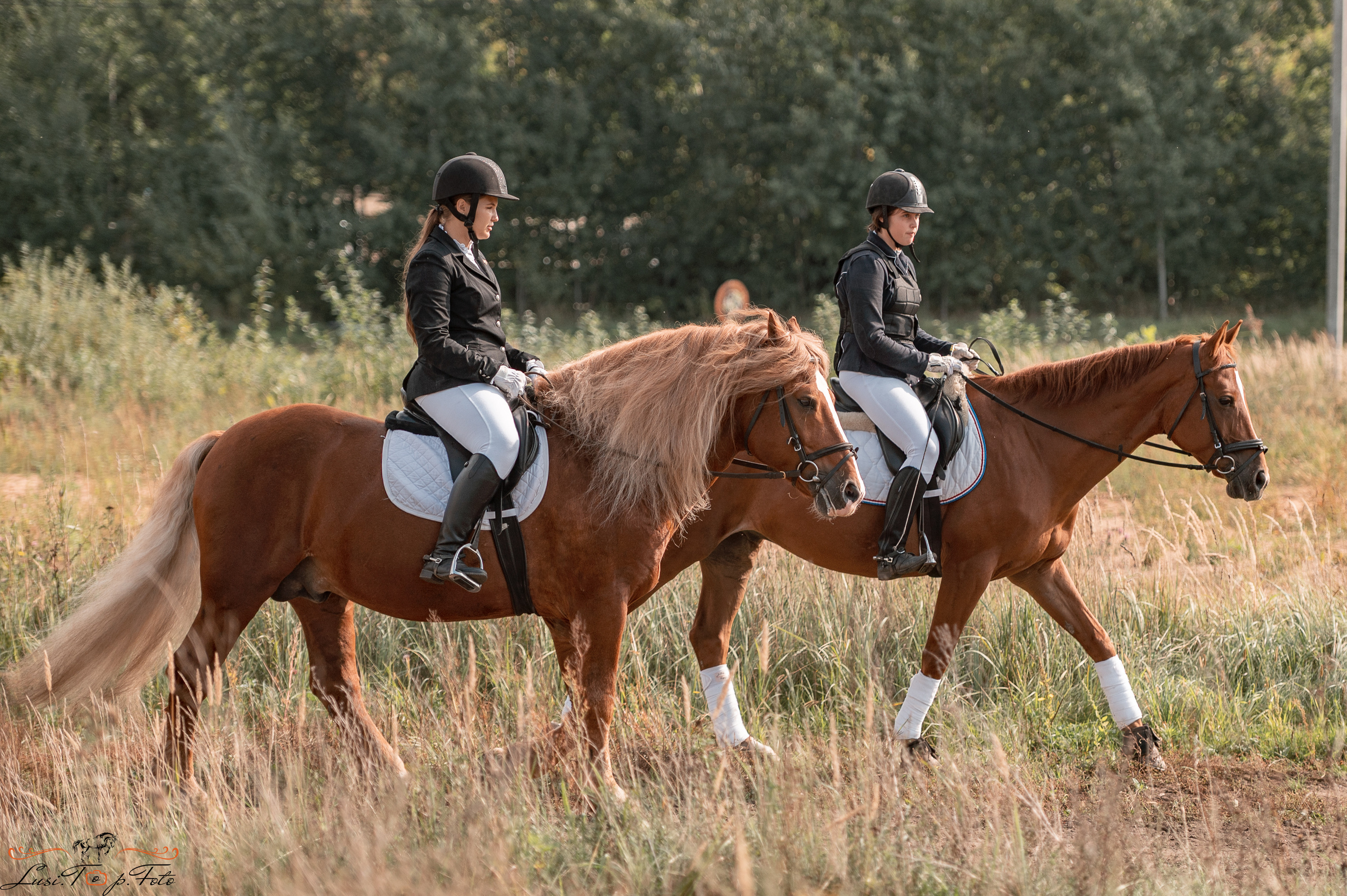 Турнир по выездке и конкуру памяти Н. Ю. Серовой (второй день — конкур). Конный и фотограф с животными в Твери Топталова Люся