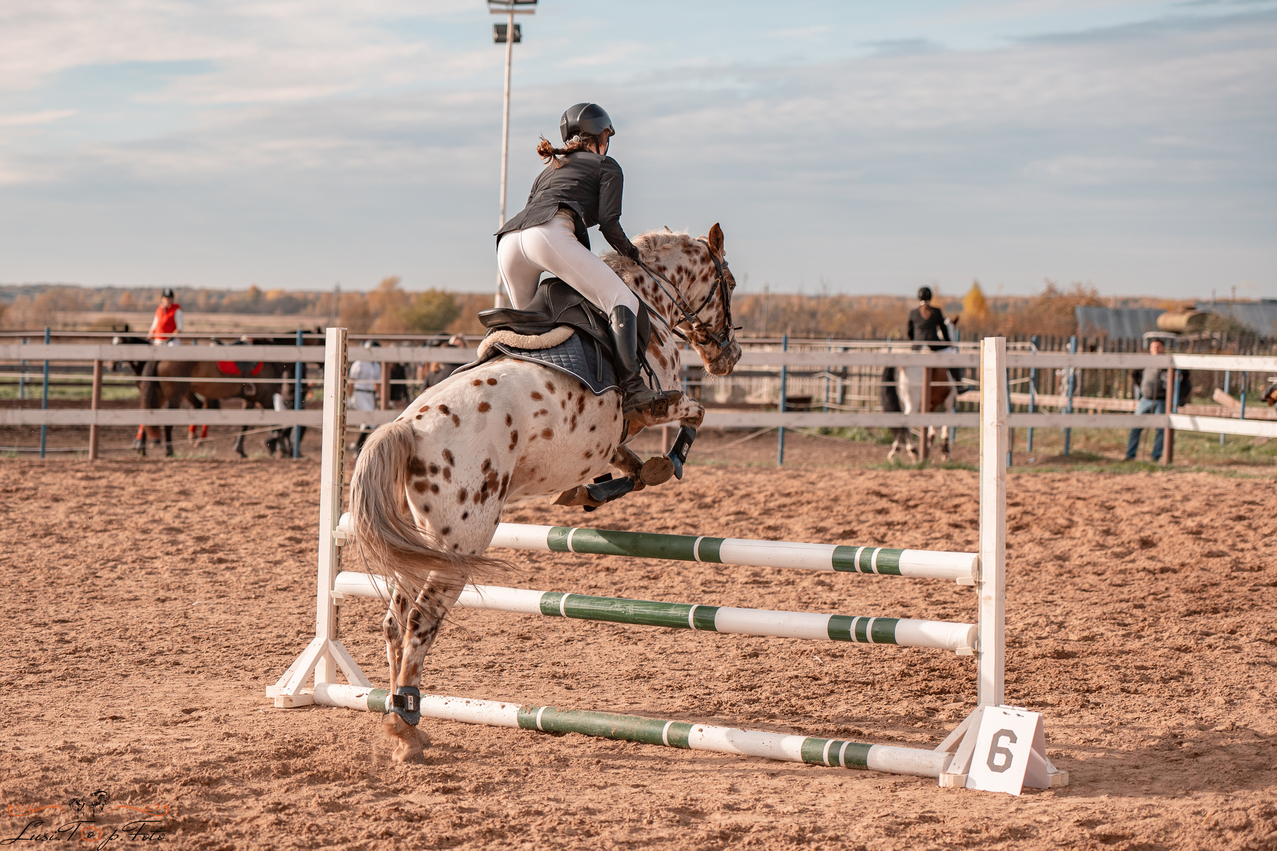 Открытая тренировка КК «Резвая». Конный и фотограф с животными в Твери Топталова Люся