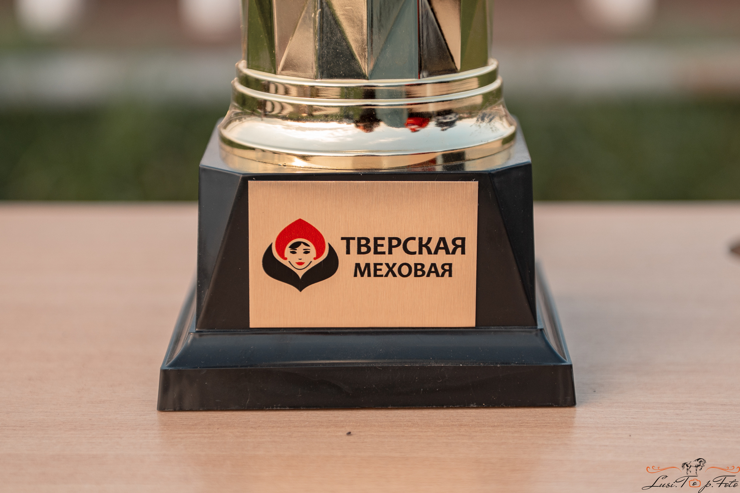 Турнир по выездке и конкуру памяти Н. Ю. Серовой (день 1 — выездка). Конный и фотограф с животными в Твери Топталова Люся