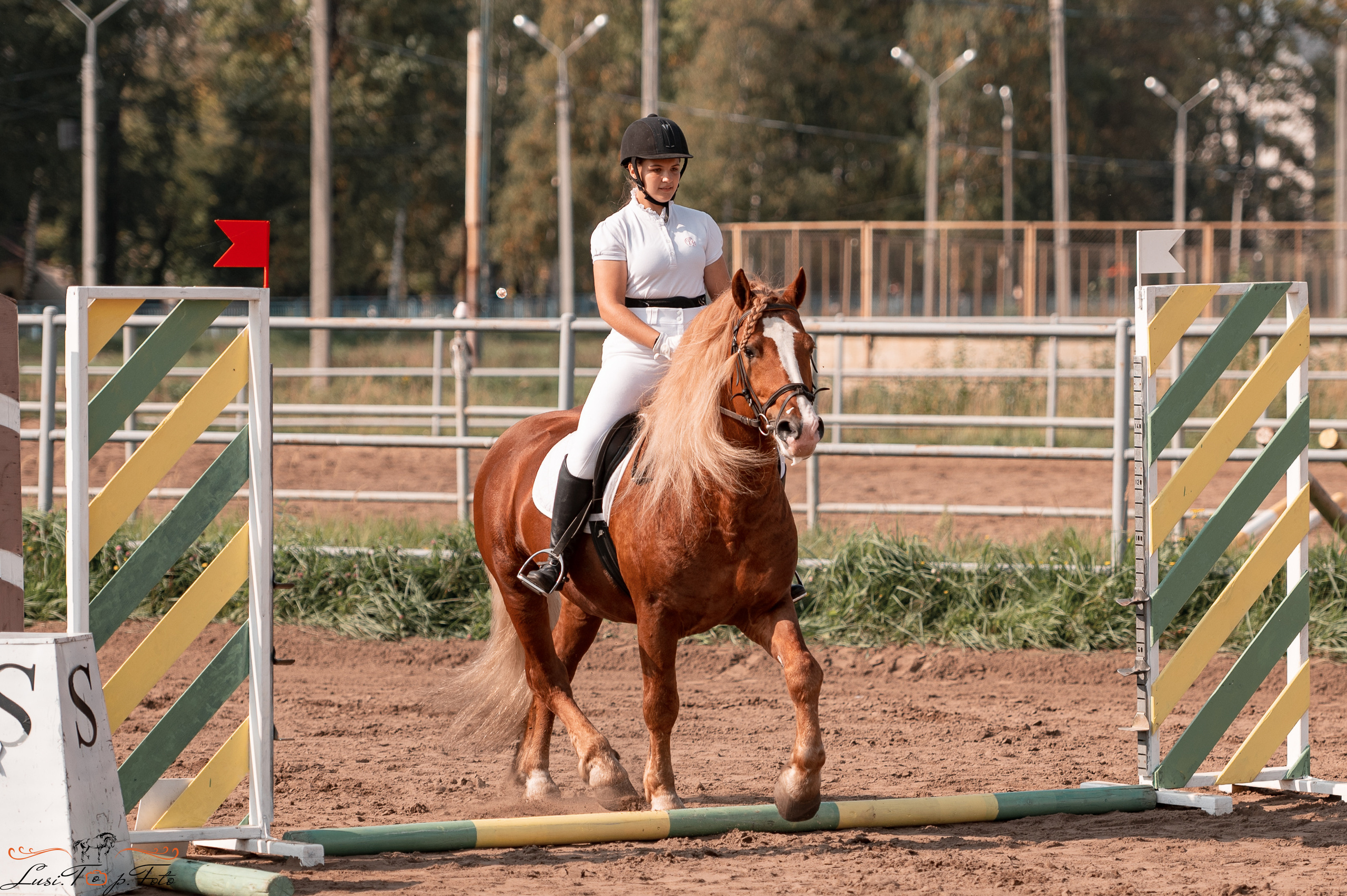 Турнир по выездке и конкуру памяти Н. Ю. Серовой (второй день — конкур). Конный и фотограф с животными в Твери Топталова Люся