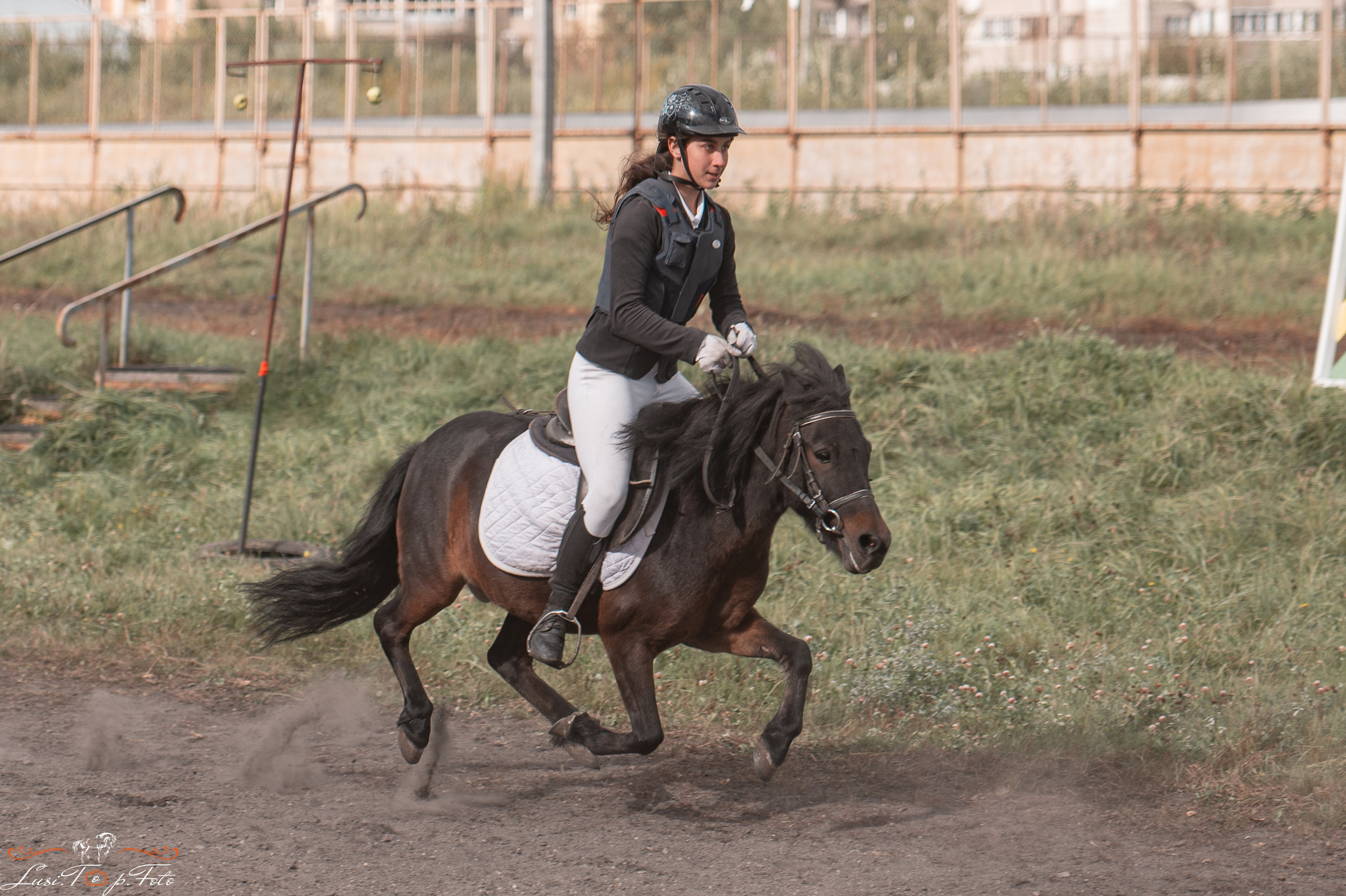 День лошади 2021. Конный и фотограф с животными в Твери Топталова Люся