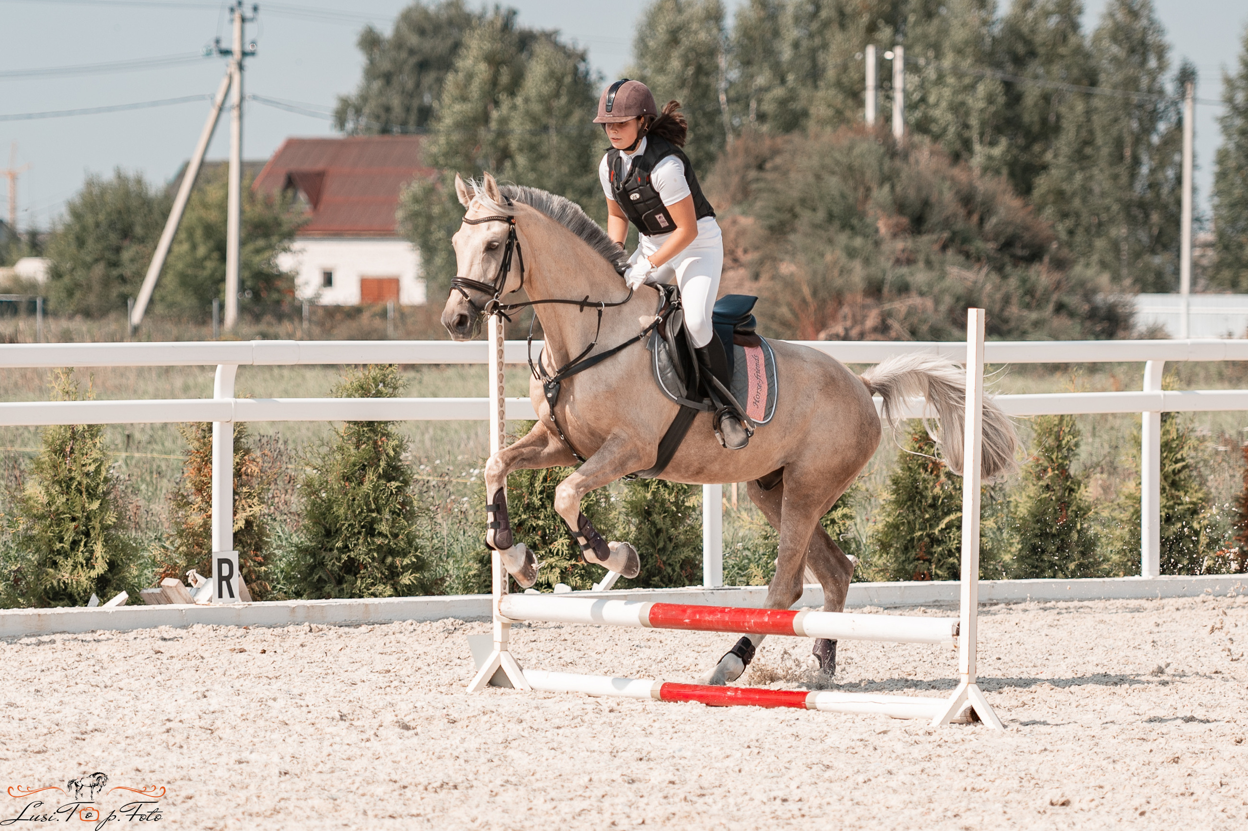 Открытая тренировка по конкуру в КК Equipark. Конный и фотограф с животными в Твери Топталова Люся
