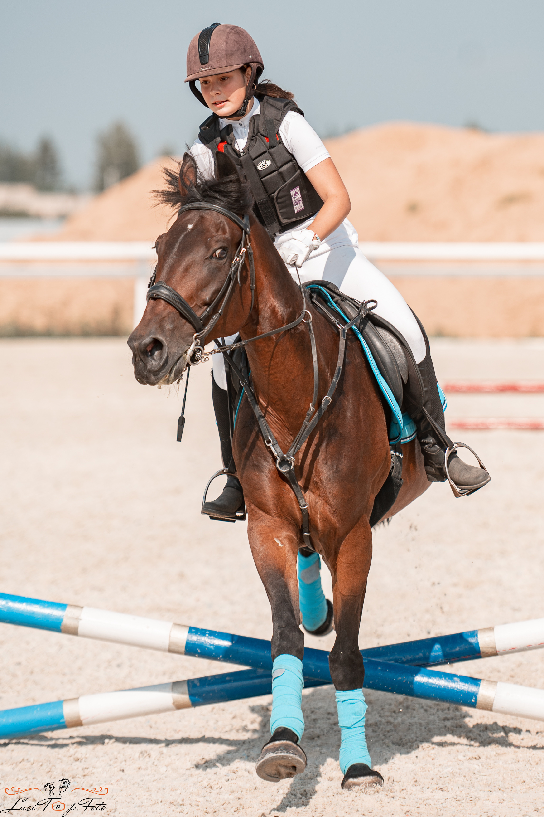 Открытая тренировка по конкуру в КК Equipark. Конный и фотограф с животными в Твери Топталова Люся
