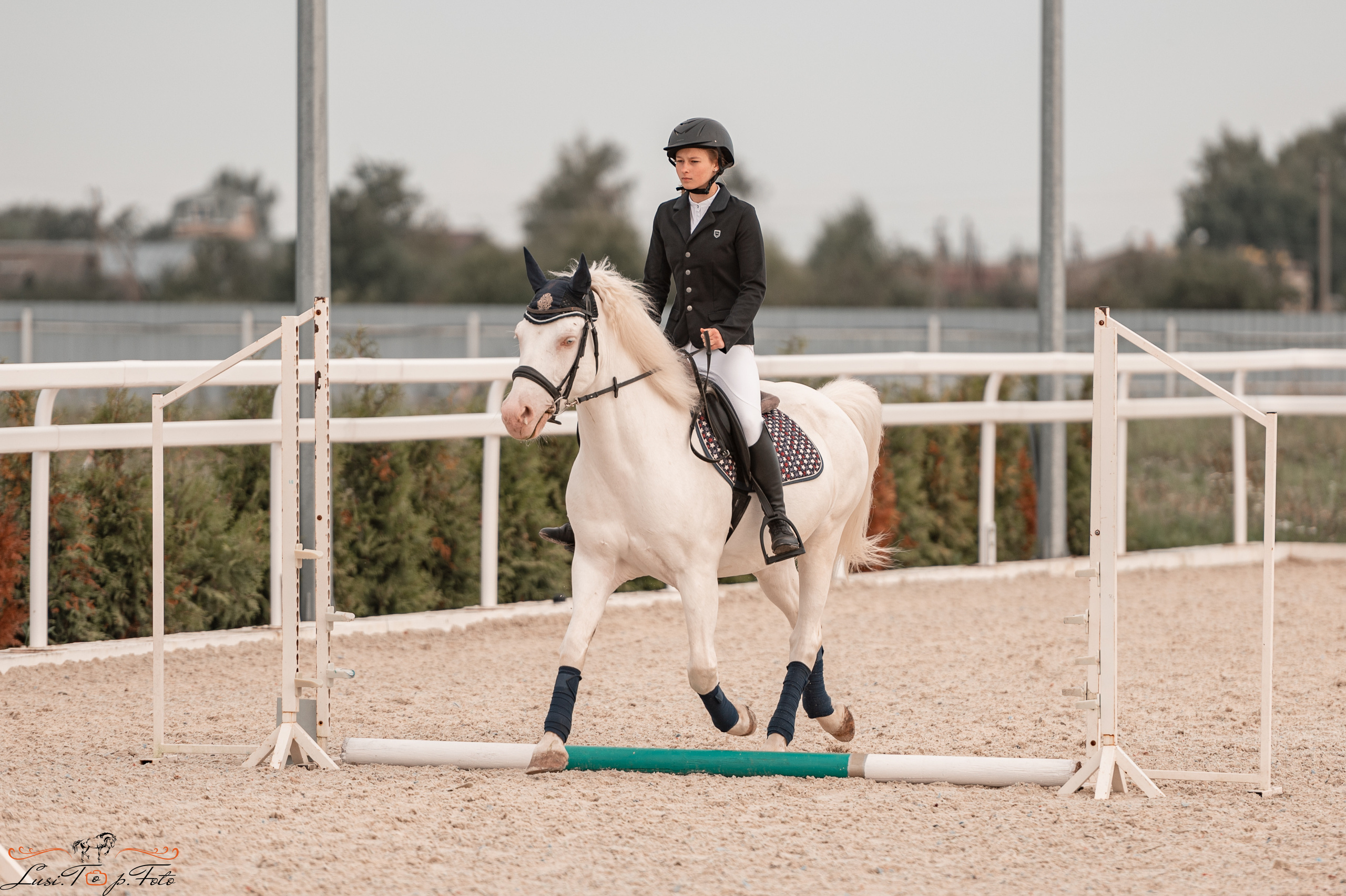 Открытая тренировка по конкуру в КК Equipark. Конный и фотограф с животными в Твери Топталова Люся