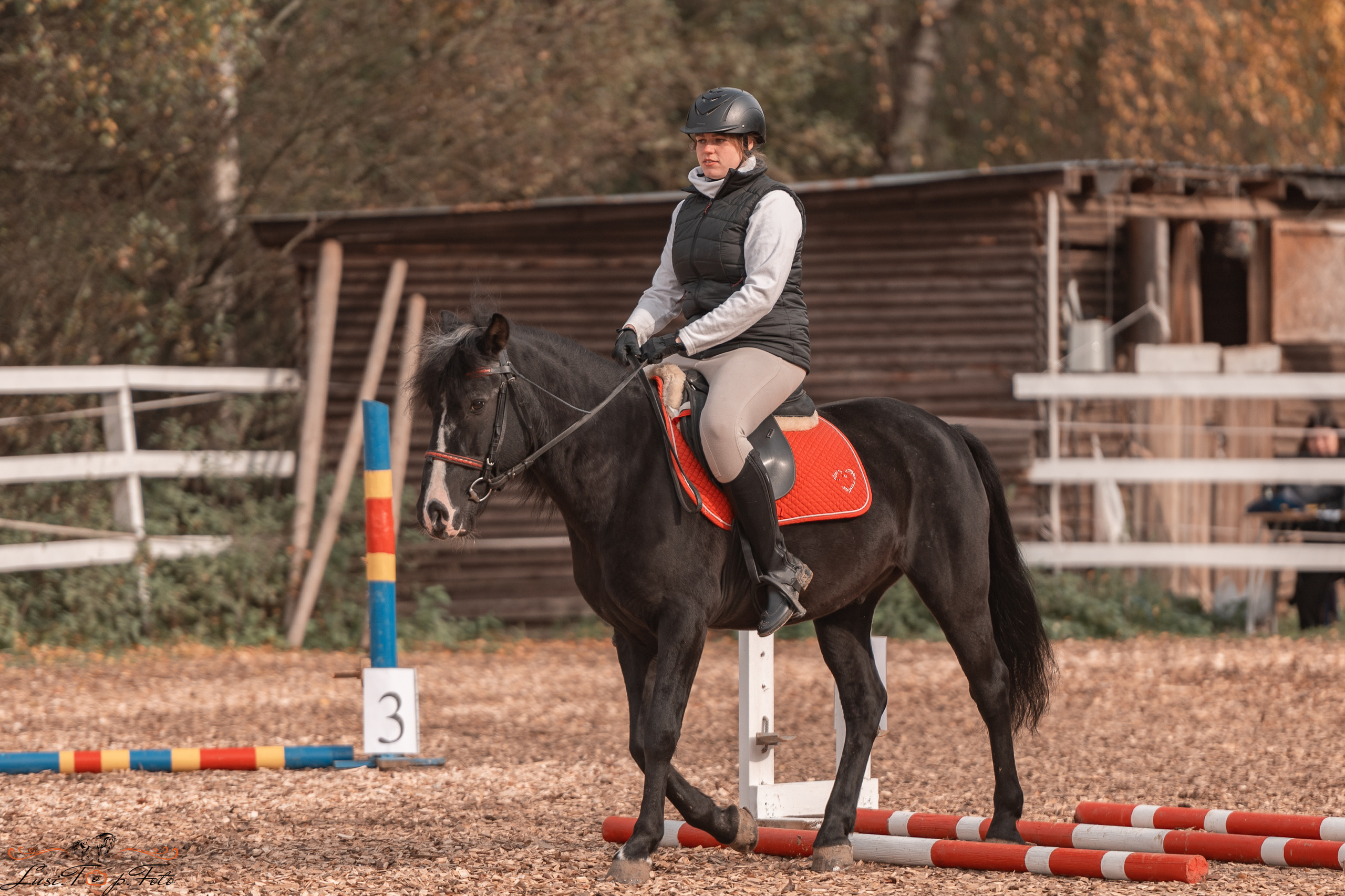 КК Траверсале Конкур. Конный и фотограф с животными в Твери Топталова Люся
