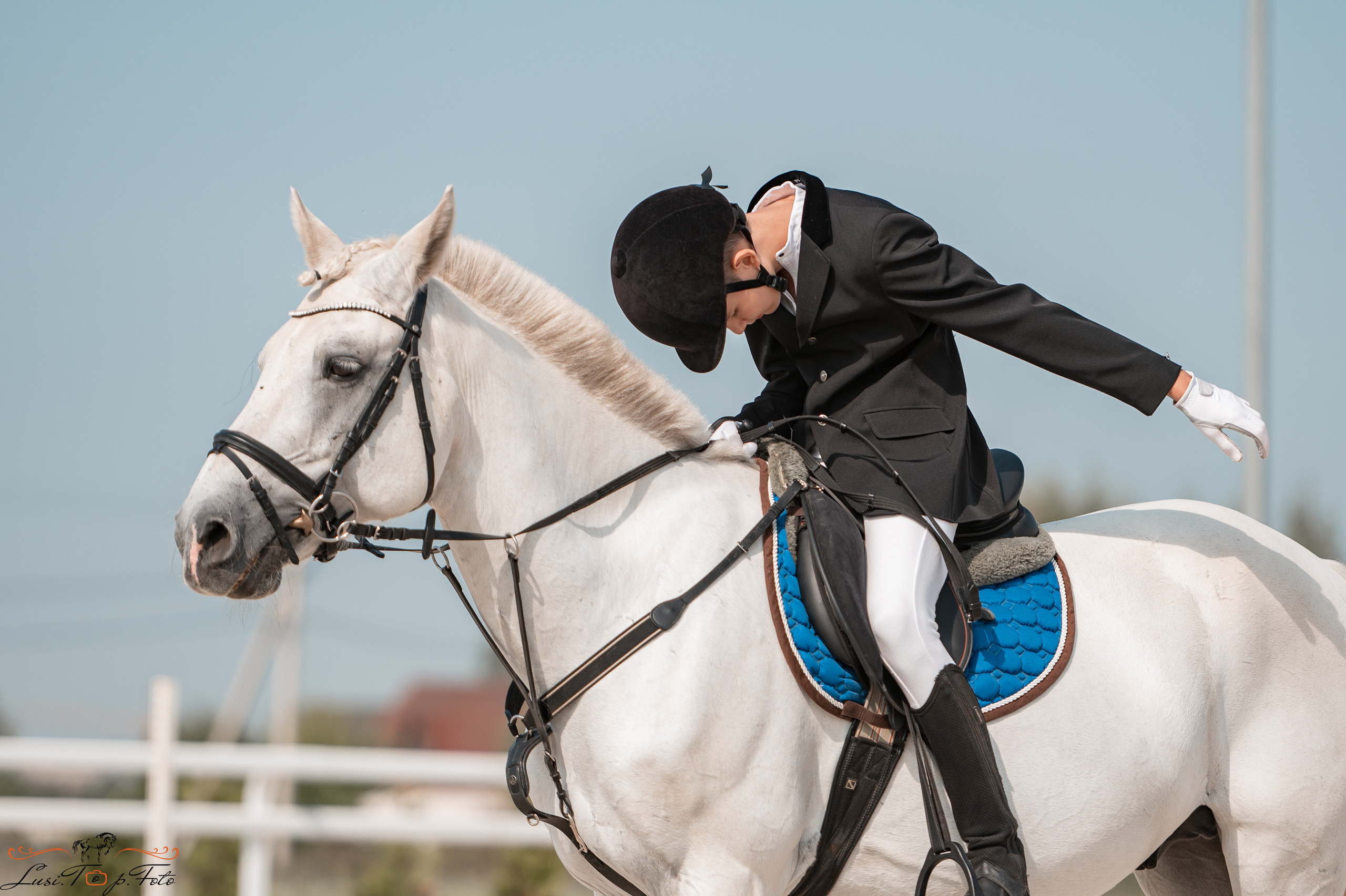 Открытая тренировка по конкуру в КК Equipark. Конный и фотограф с животными в Твери Топталова Люся