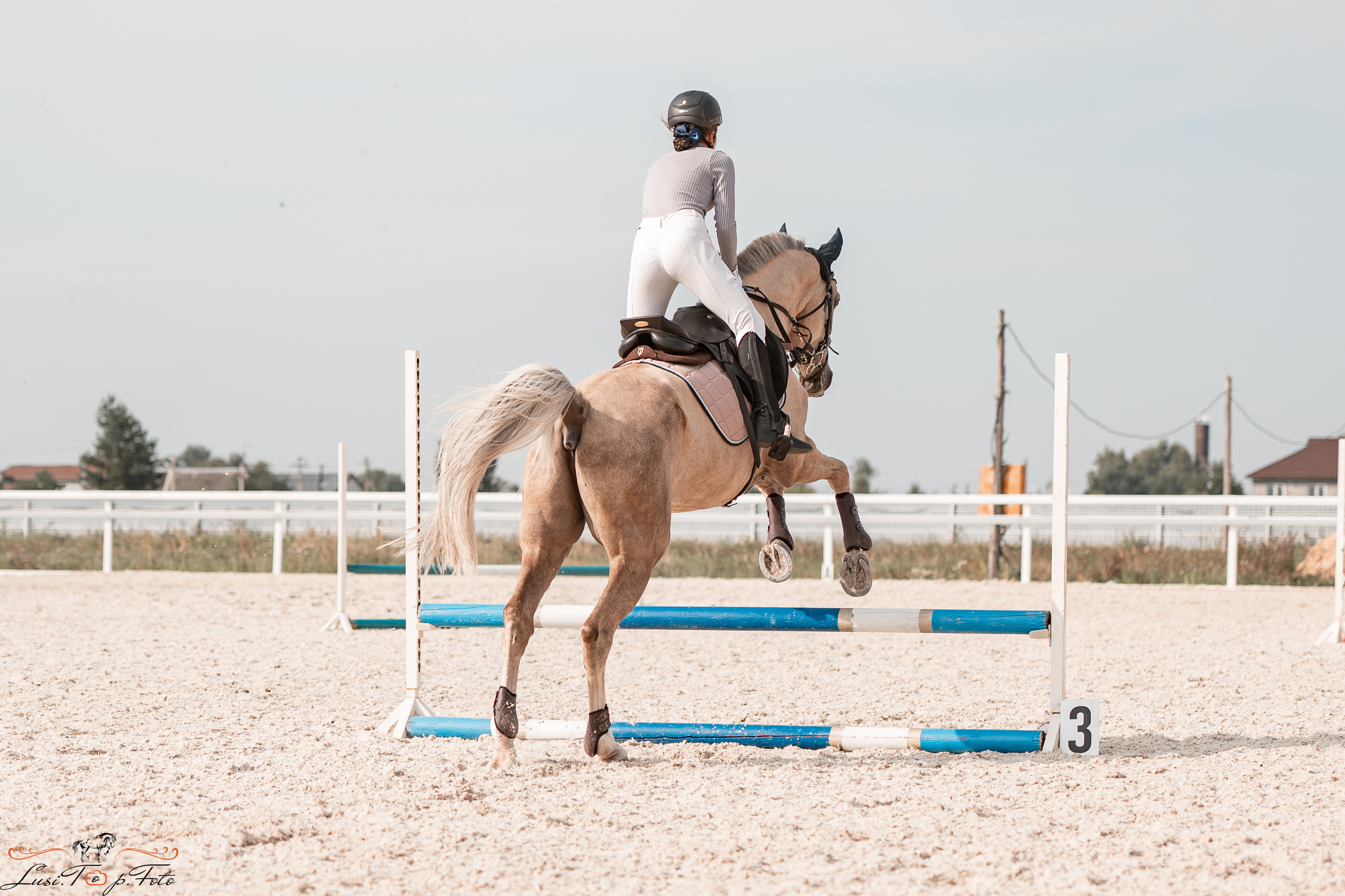 Открытая тренировка по конкуру в КК Equipark. Конный и фотограф с животными в Твери Топталова Люся