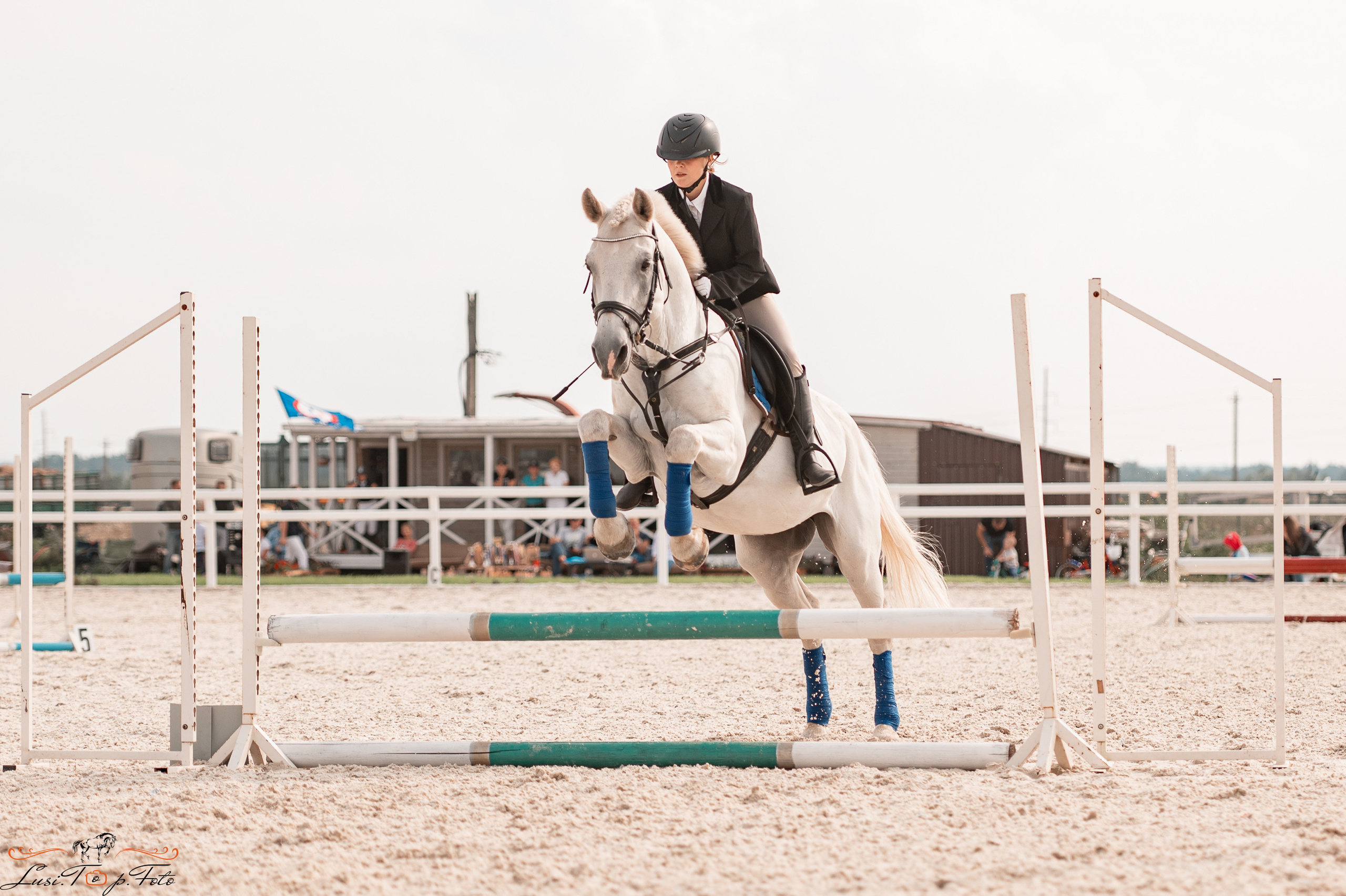Открытая тренировка по конкуру в КК Equipark. Конный и фотограф с животными в Твери Топталова Люся