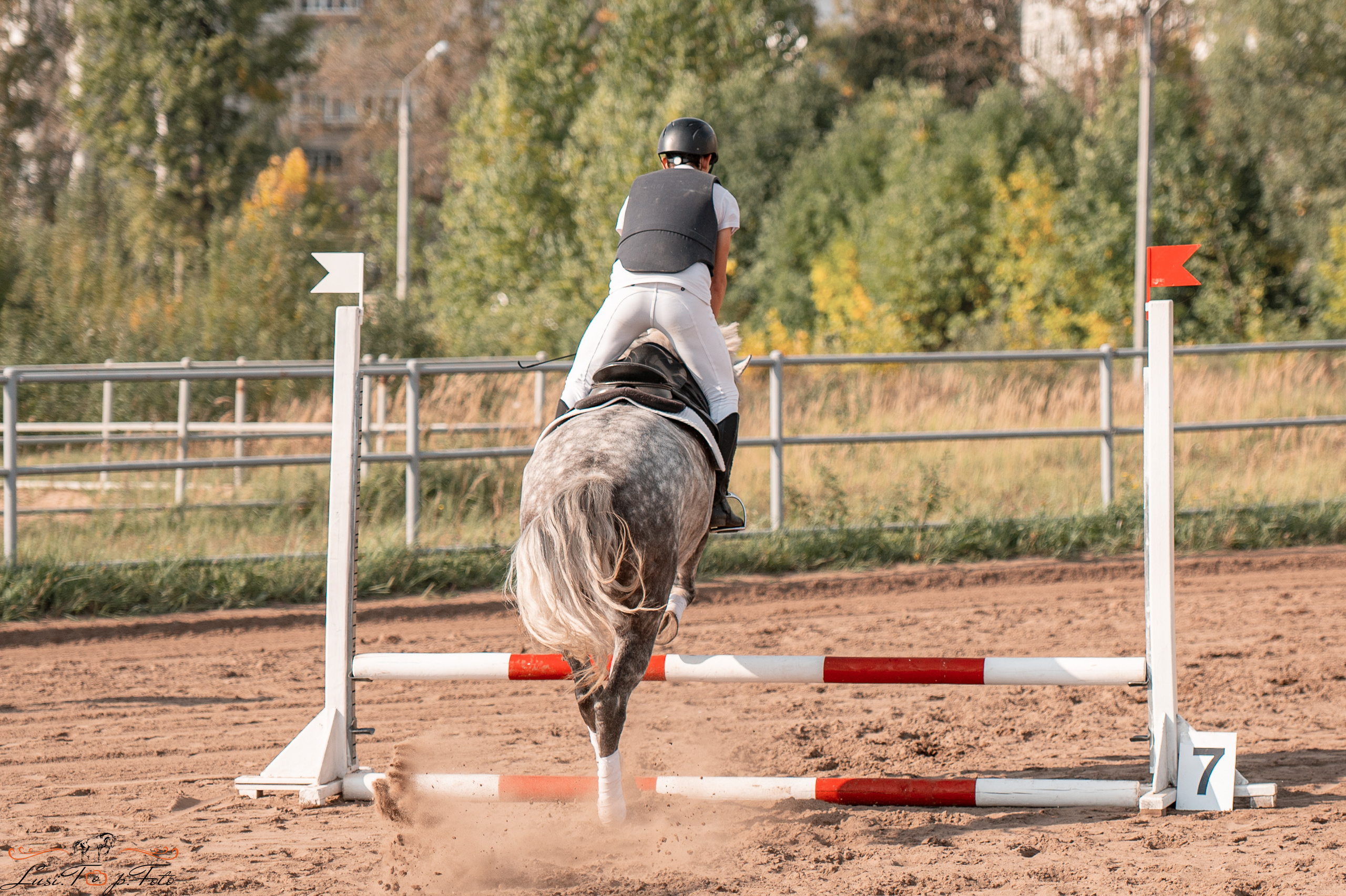 Турнир по выездке и конкуру памяти Н. Ю. Серовой (второй день — конкур). Конный и фотограф с животными в Твери Топталова Люся