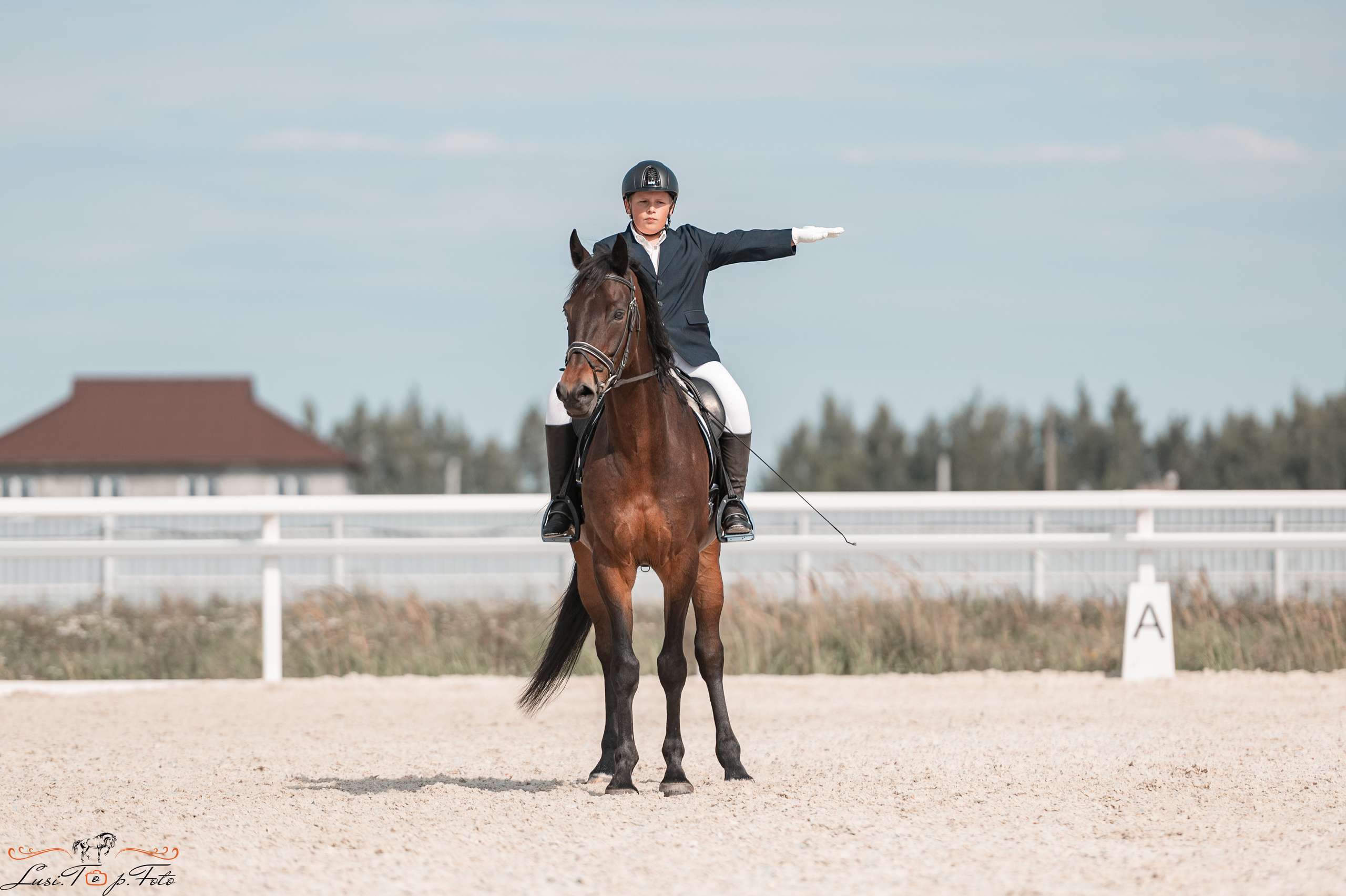 Открытая тренировка по выездке в КК Equipark. Конный и фотограф с животными в Твери Топталова Люся