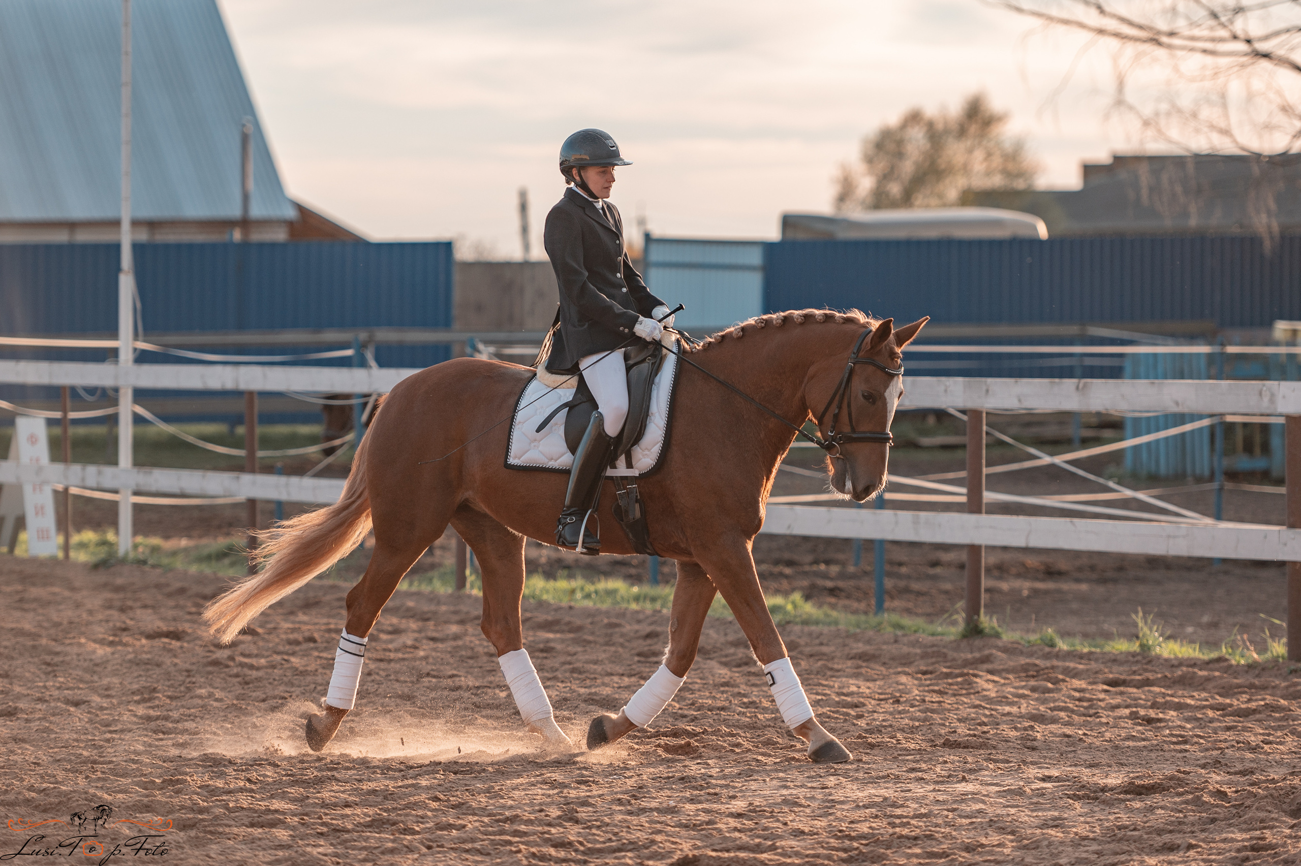 Открытая тренировка КК «Резвая». Конный и фотограф с животными в Твери Топталова Люся