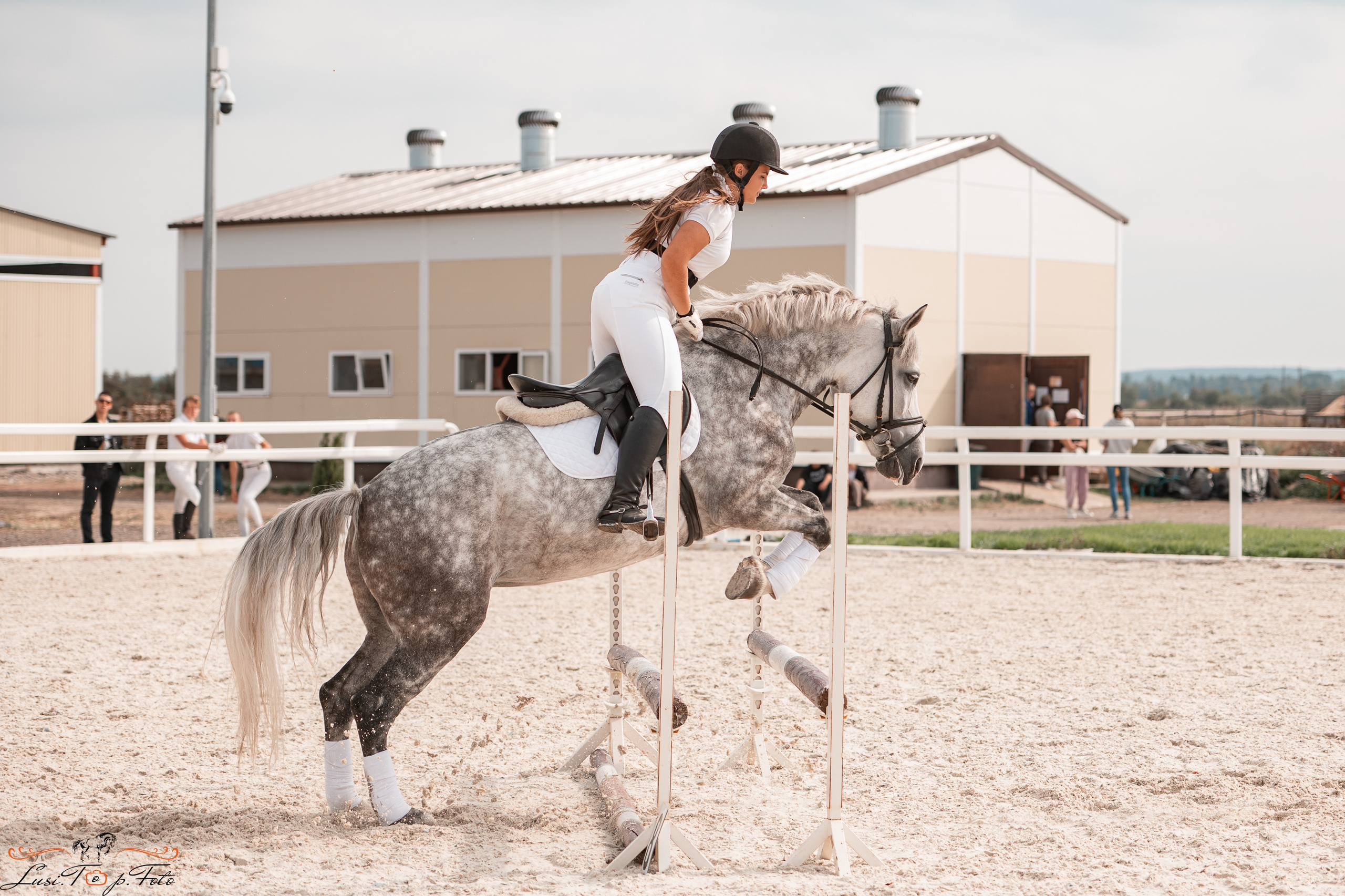 Открытая тренировка по конкуру в КК Equipark. Конный и фотограф с животными в Твери Топталова Люся