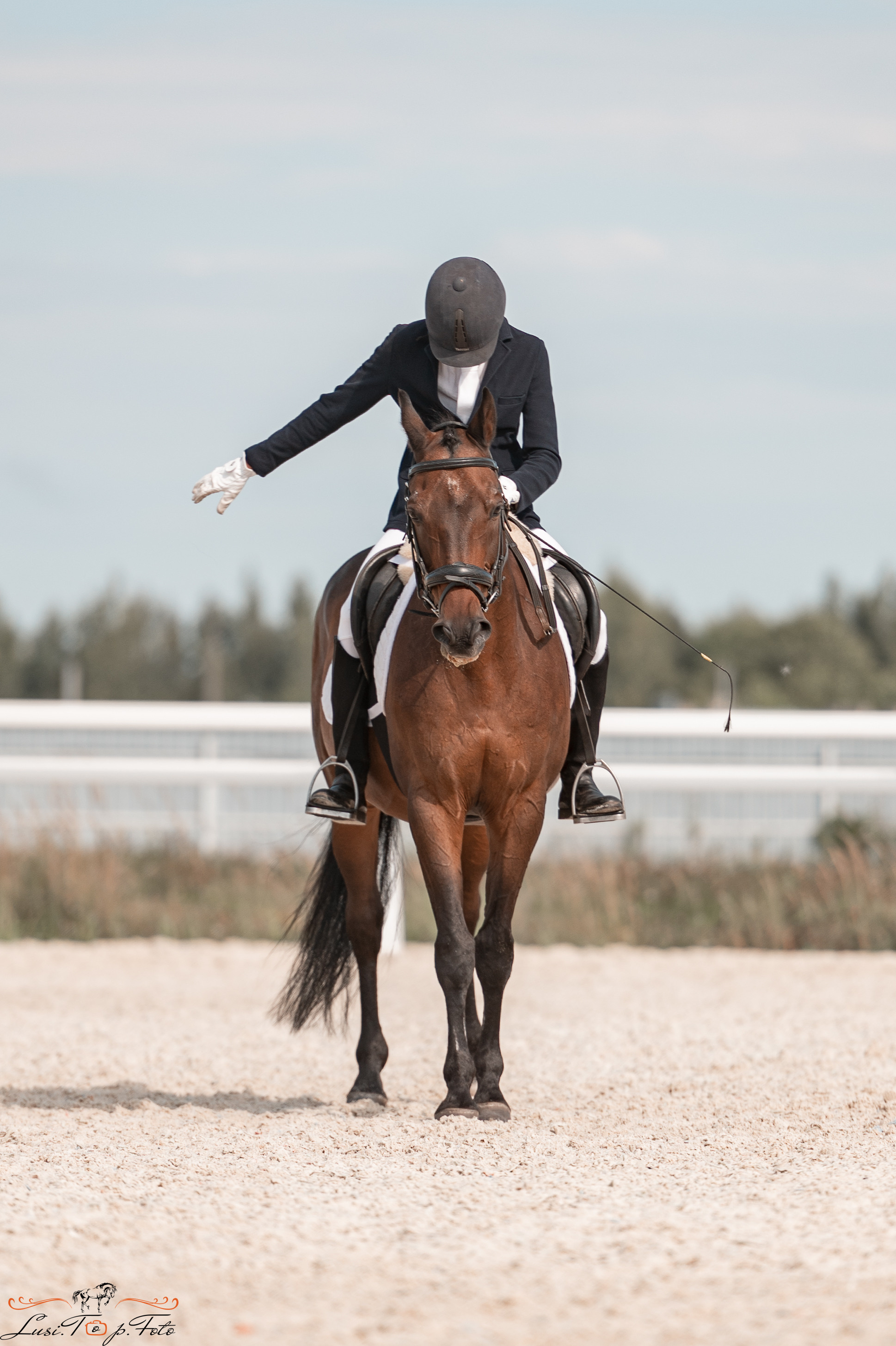Открытая тренировка по выездке в КК Equipark. Конный и фотограф с животными в Твери Топталова Люся