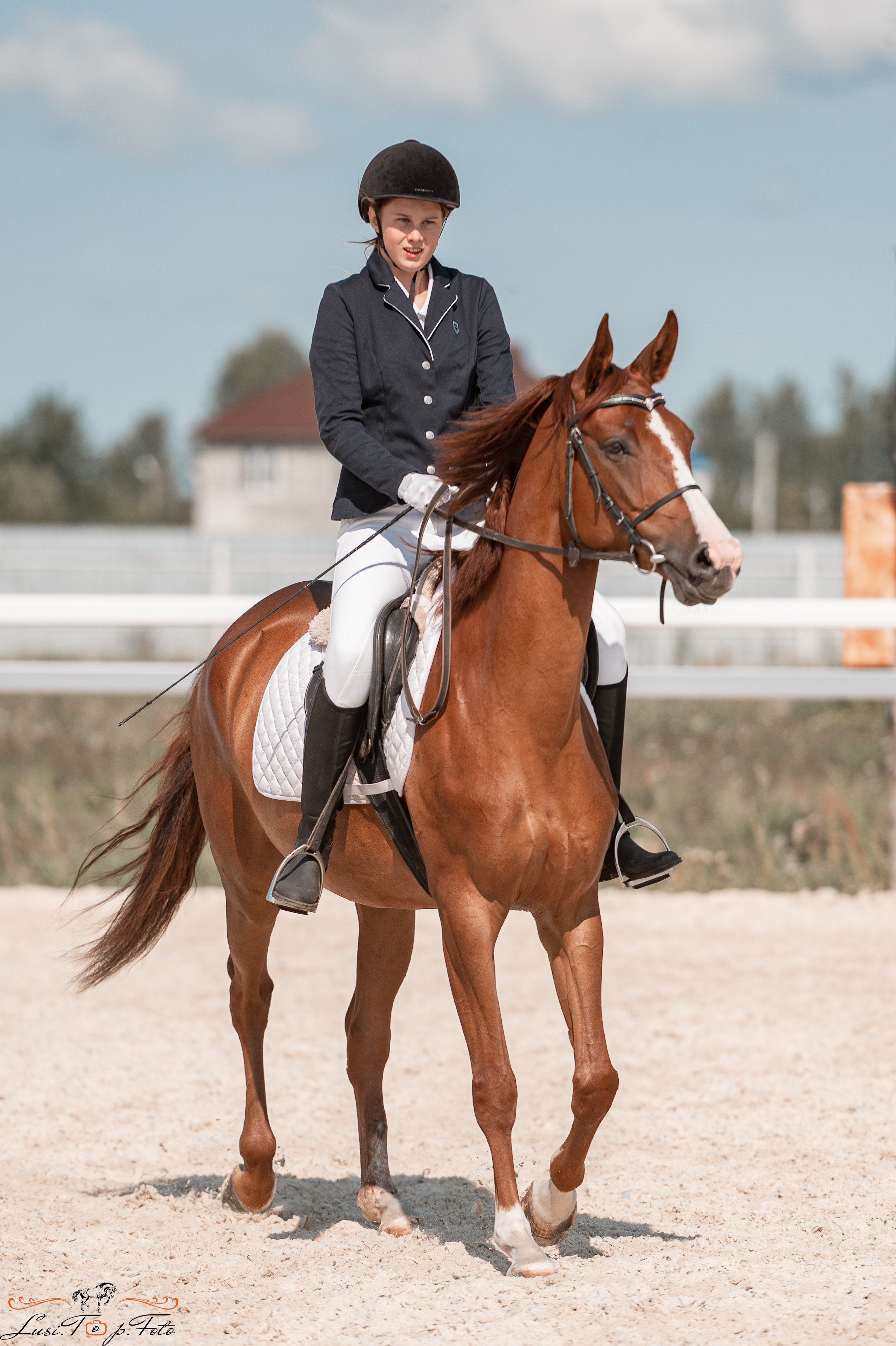Открытая тренировка по выездке в КК Equipark. Конный и фотограф с животными в Твери Топталова Люся