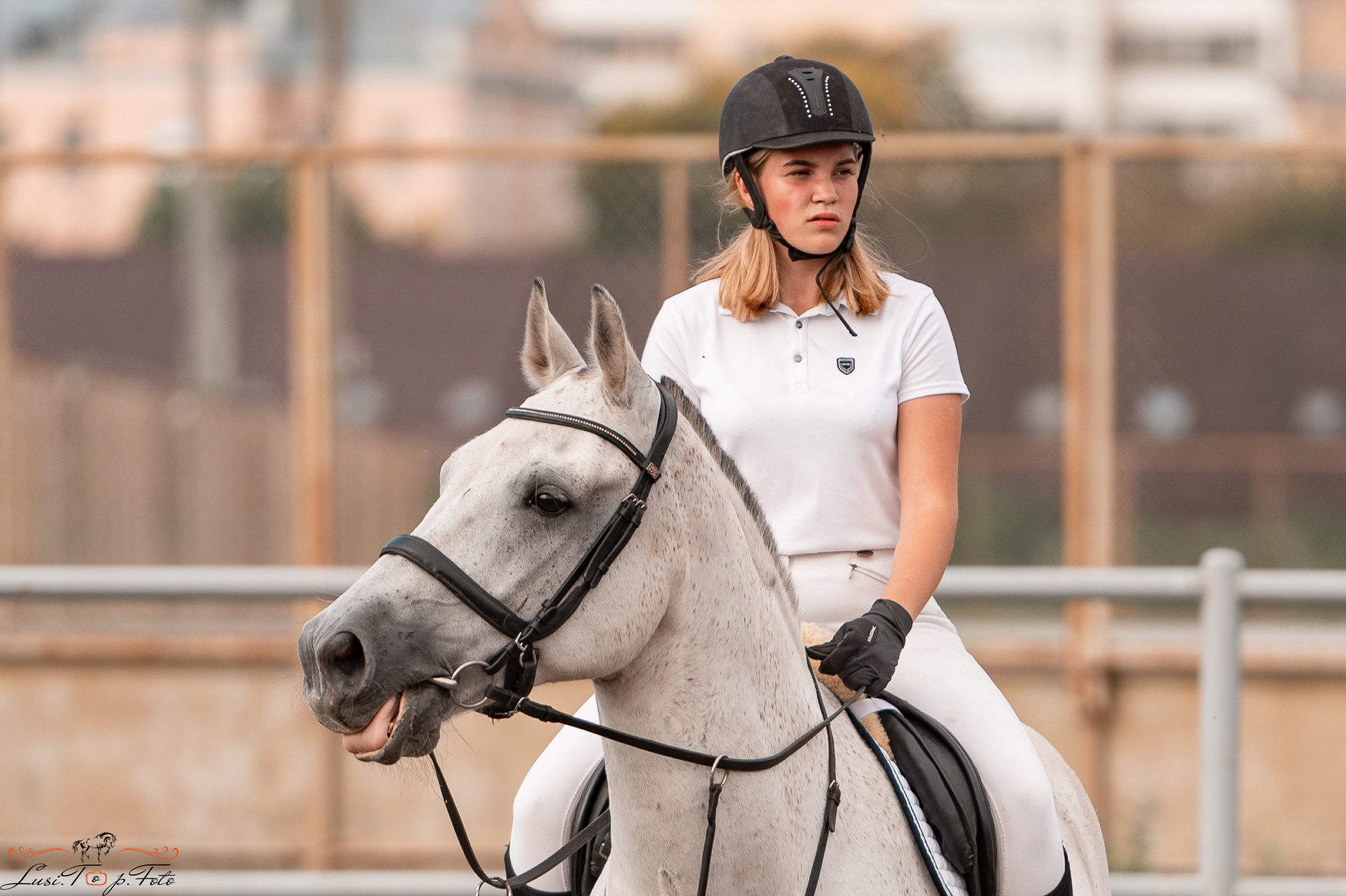 Турнир по выездке и конкуру памяти Н. Ю. Серовой (второй день — конкур). Конный и фотограф с животными в Твери Топталова Люся