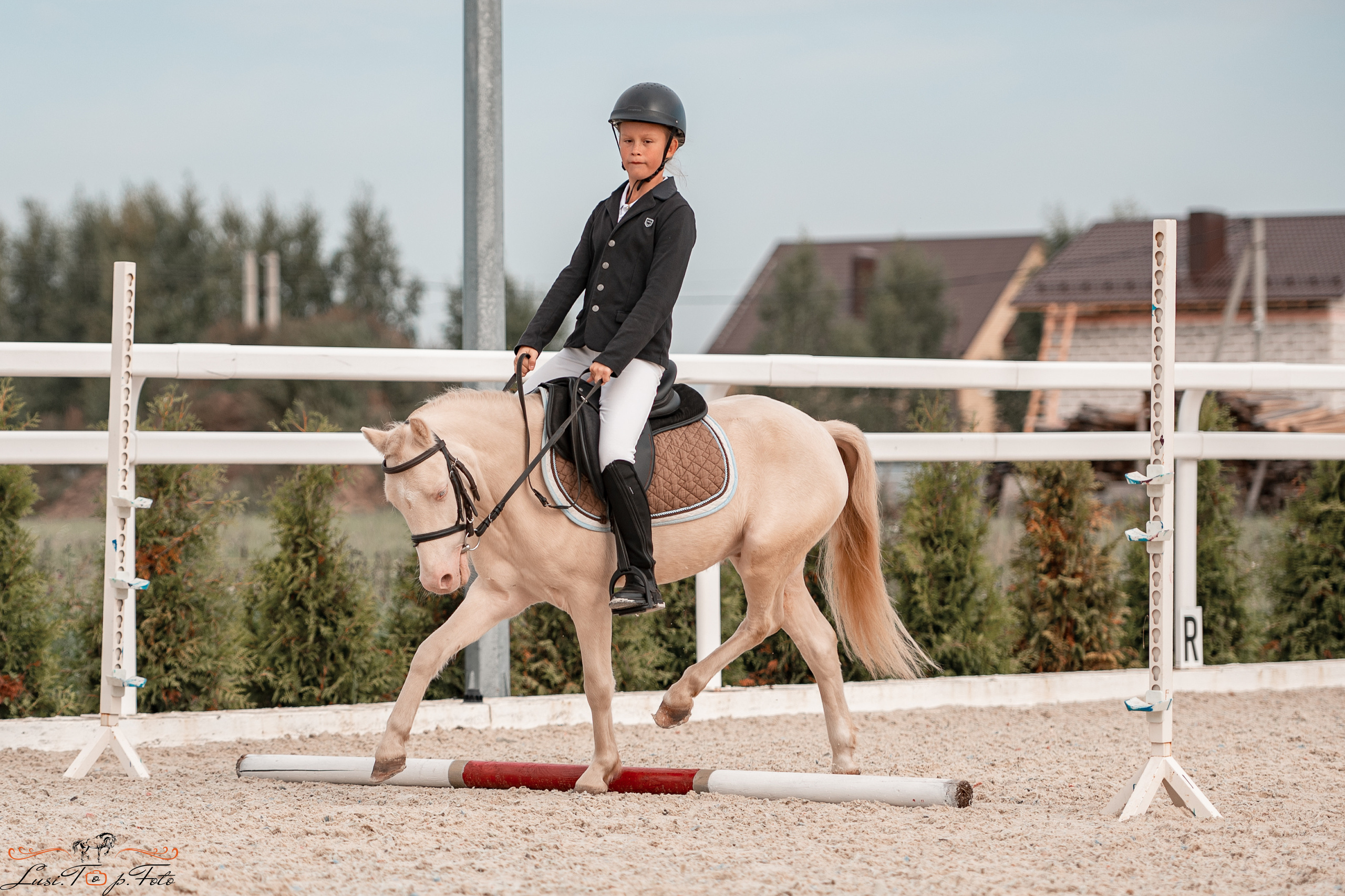 Открытая тренировка по конкуру в КК Equipark. Конный и фотограф с животными в Твери Топталова Люся