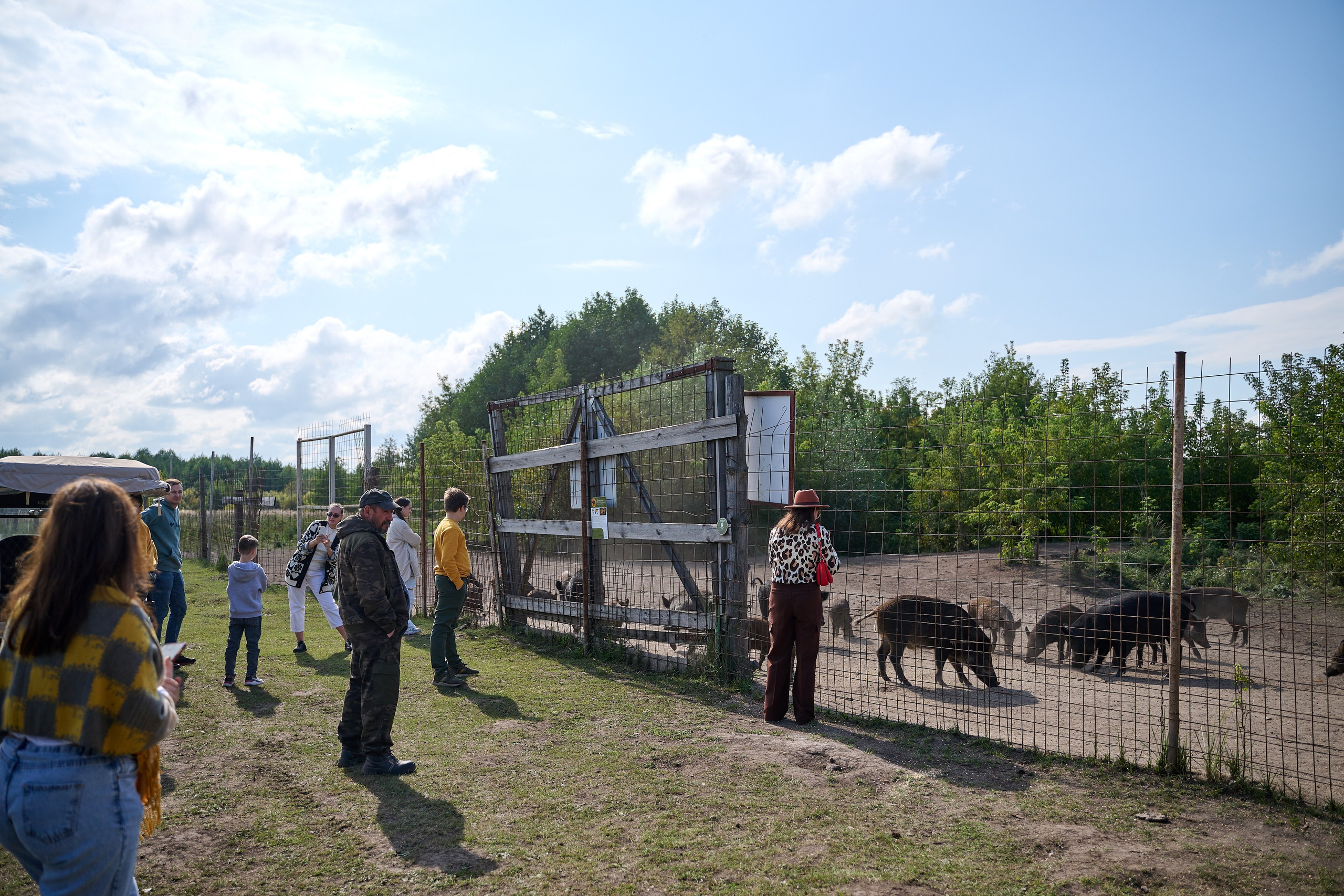 Кречет. Фотосъемка мероприятий