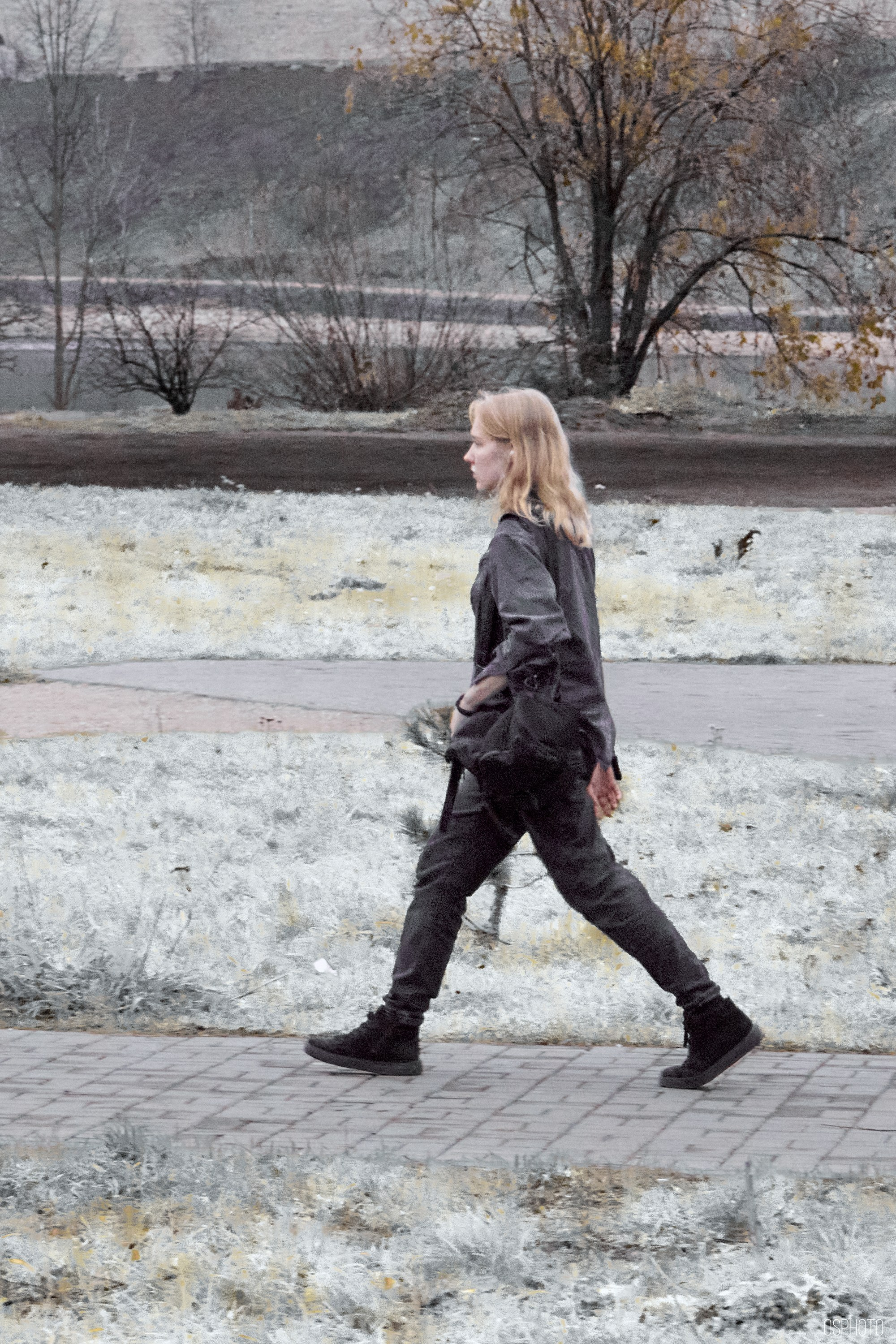 Псков. Ноябрь. Фотографъ Сергѣевъ. Поймать мгновеніе