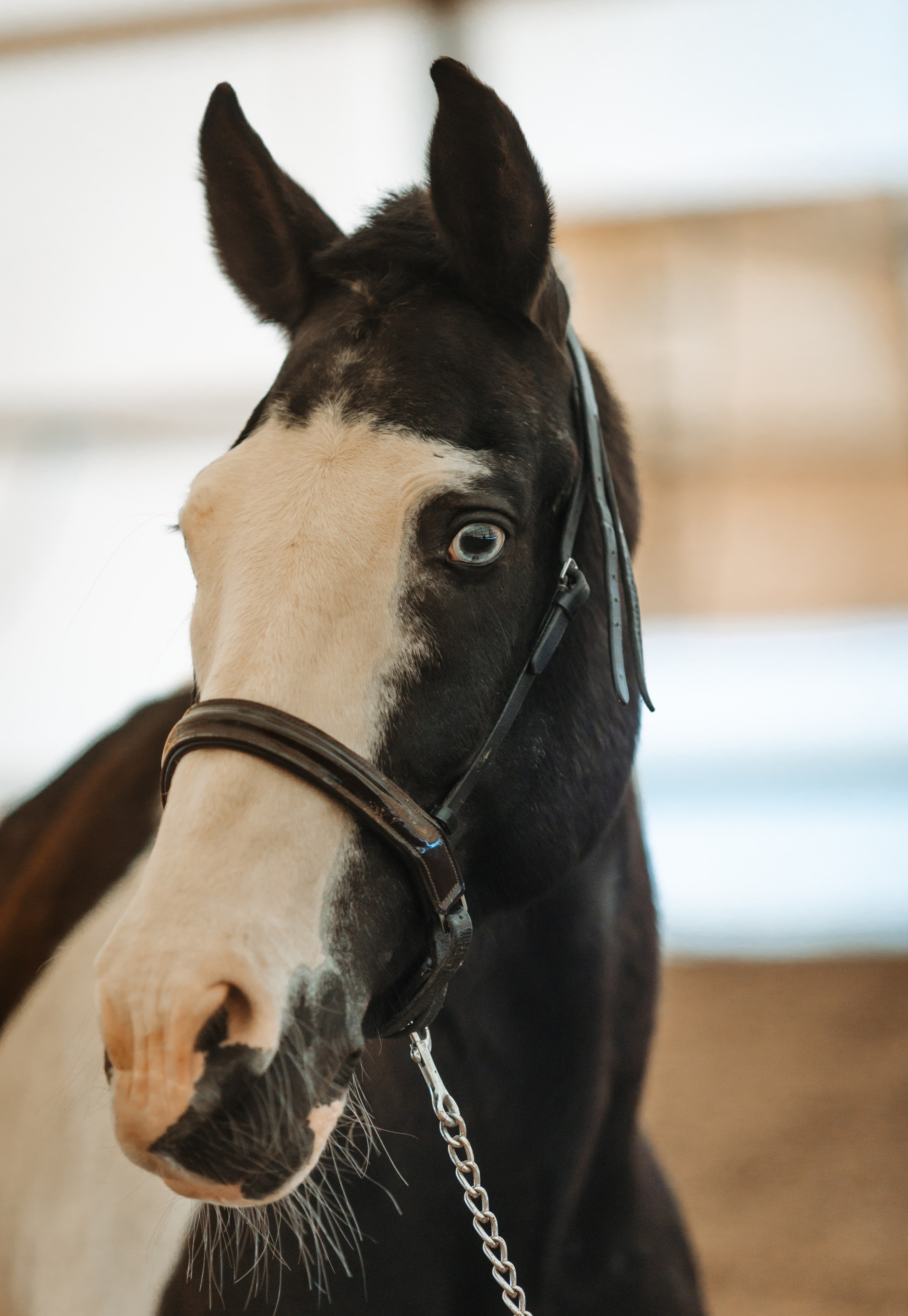 Вей. Фотограф Варвара Ермоленко