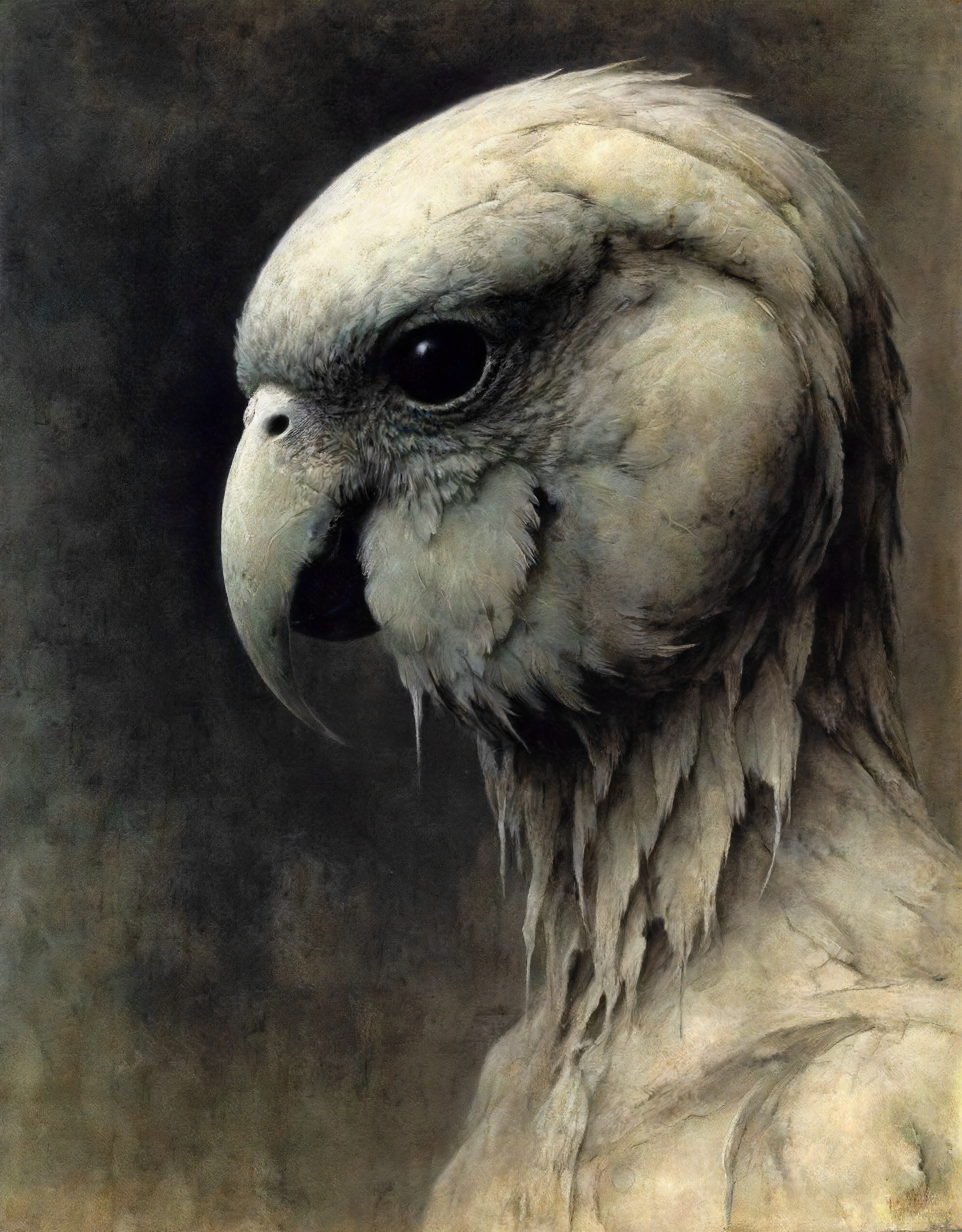 Постеры. Портретный фотограф