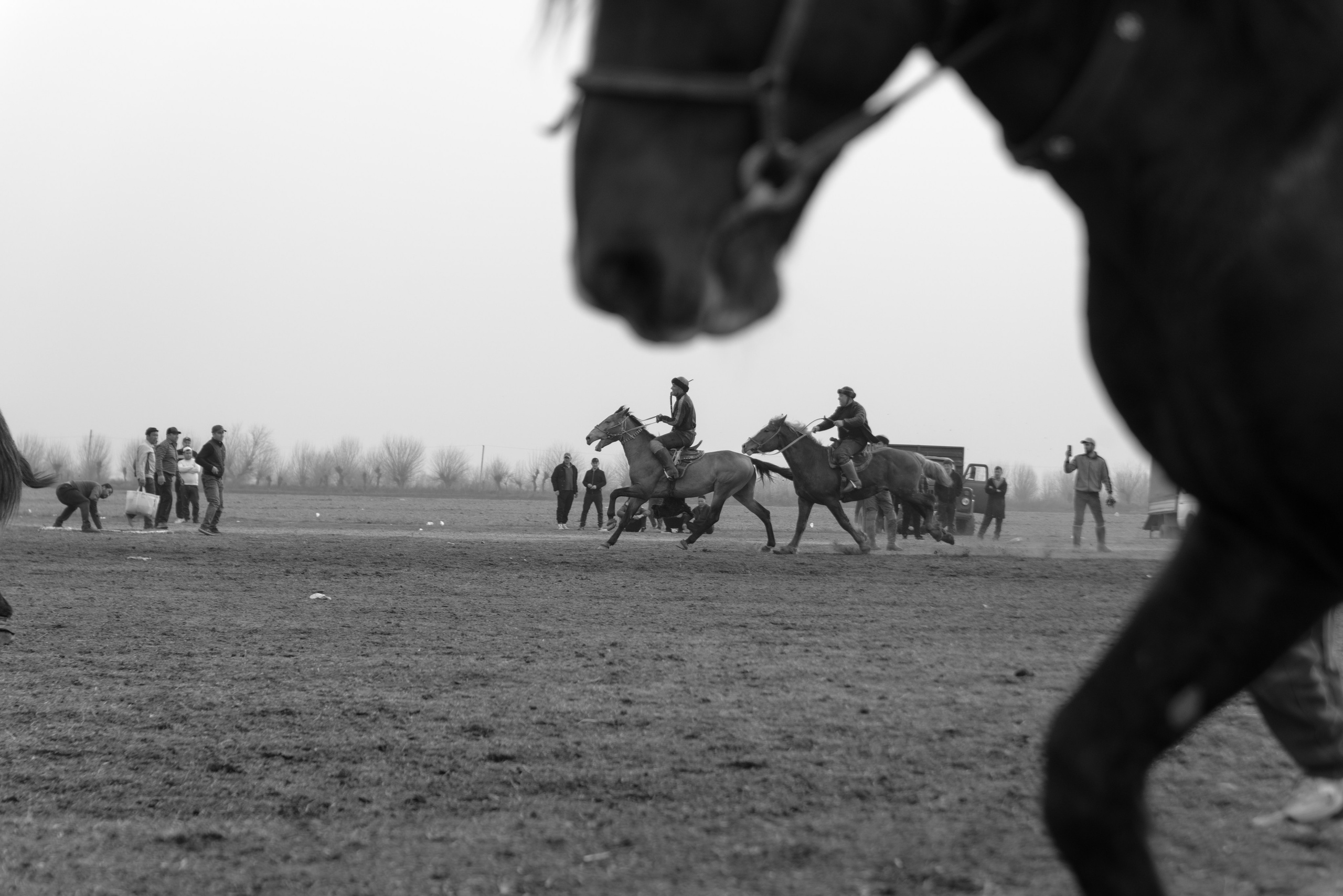 битва на лошадях за козлиную тушу узбекистан