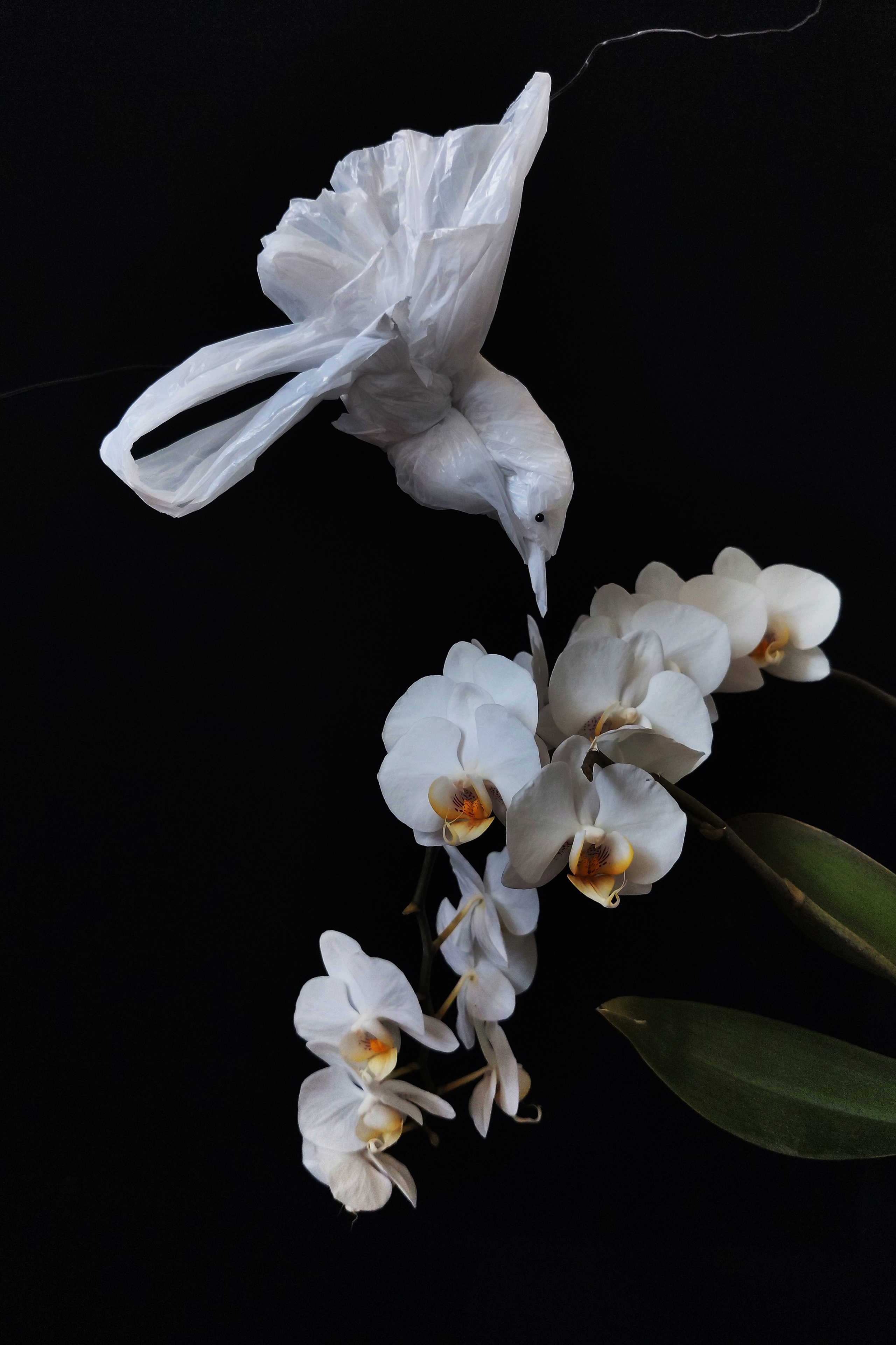 Курс «С нуля»