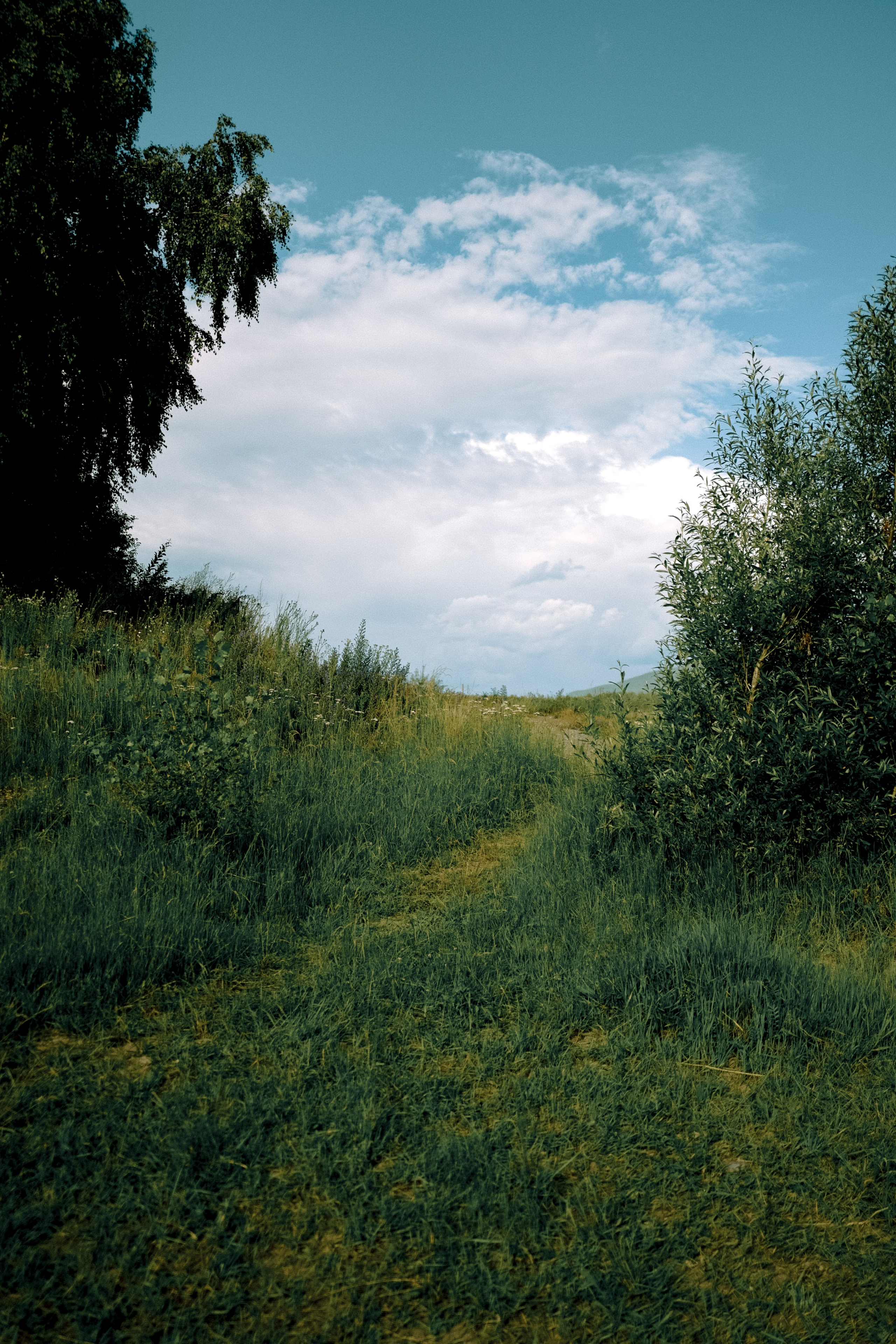 ARTDARY | Фотограф Дарья Грицай