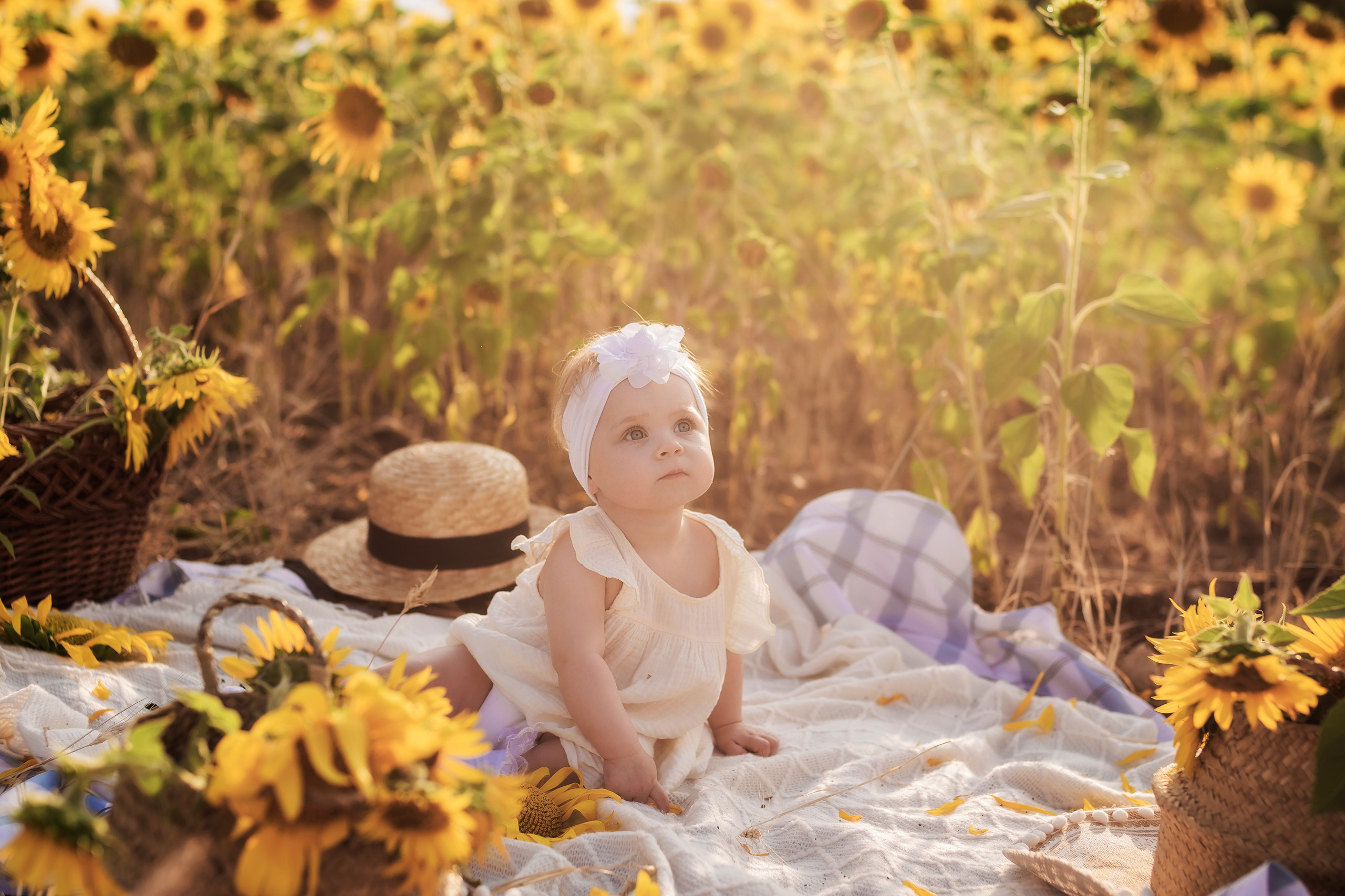 Фото в подсолнухах. Семейный фотограф в Саратове