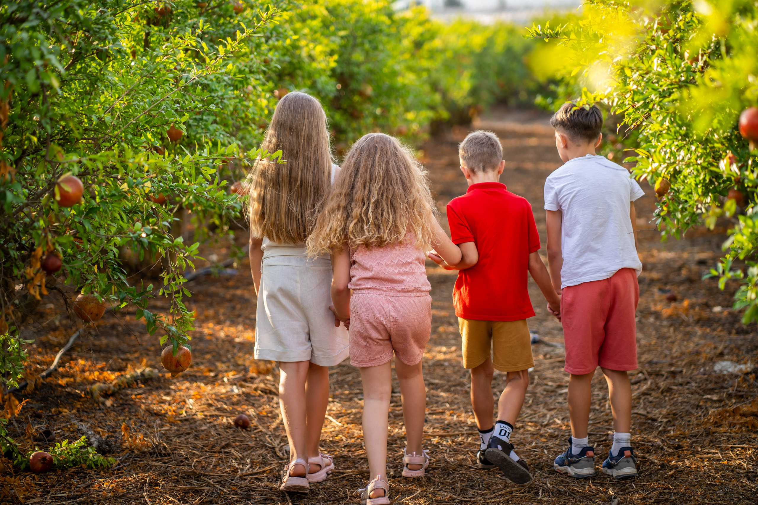 Гранатовый сад. Семейный и детский фотограф в Израиле и Москве Дорошок Надя