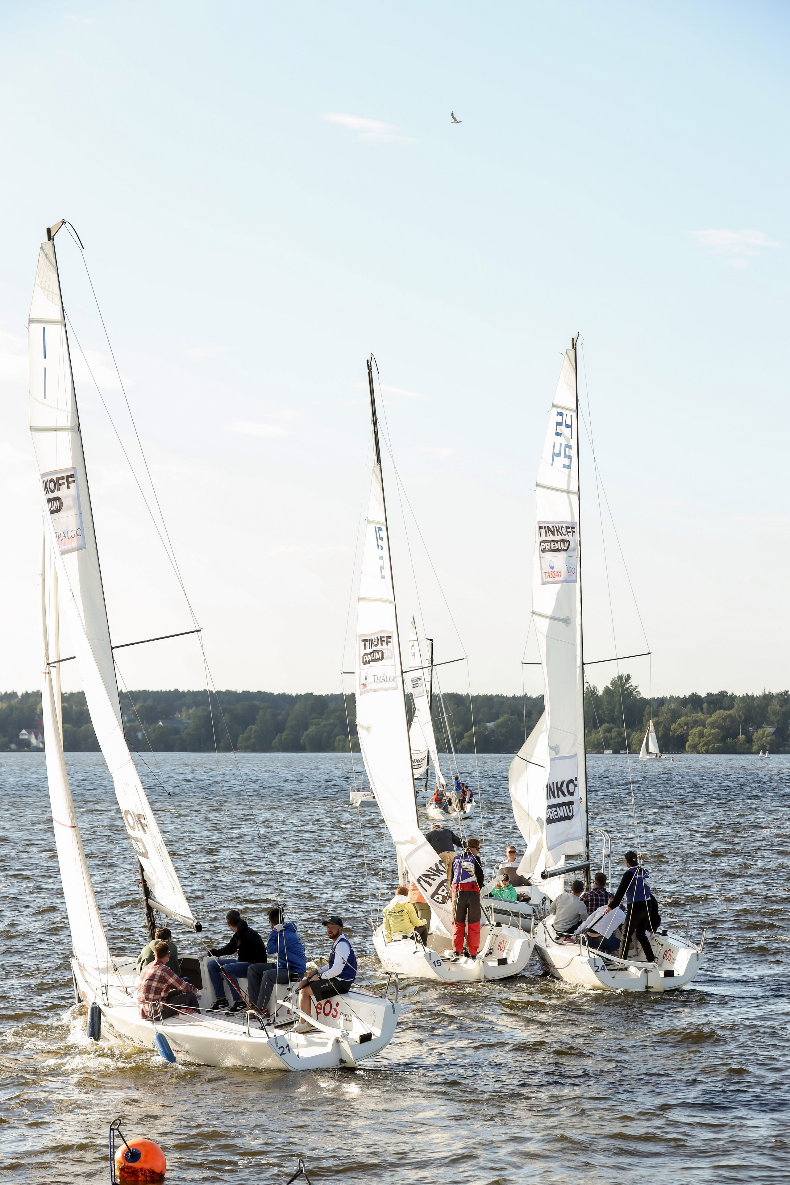 Dis Group регата 2024. Фотограф Антон Чупринин