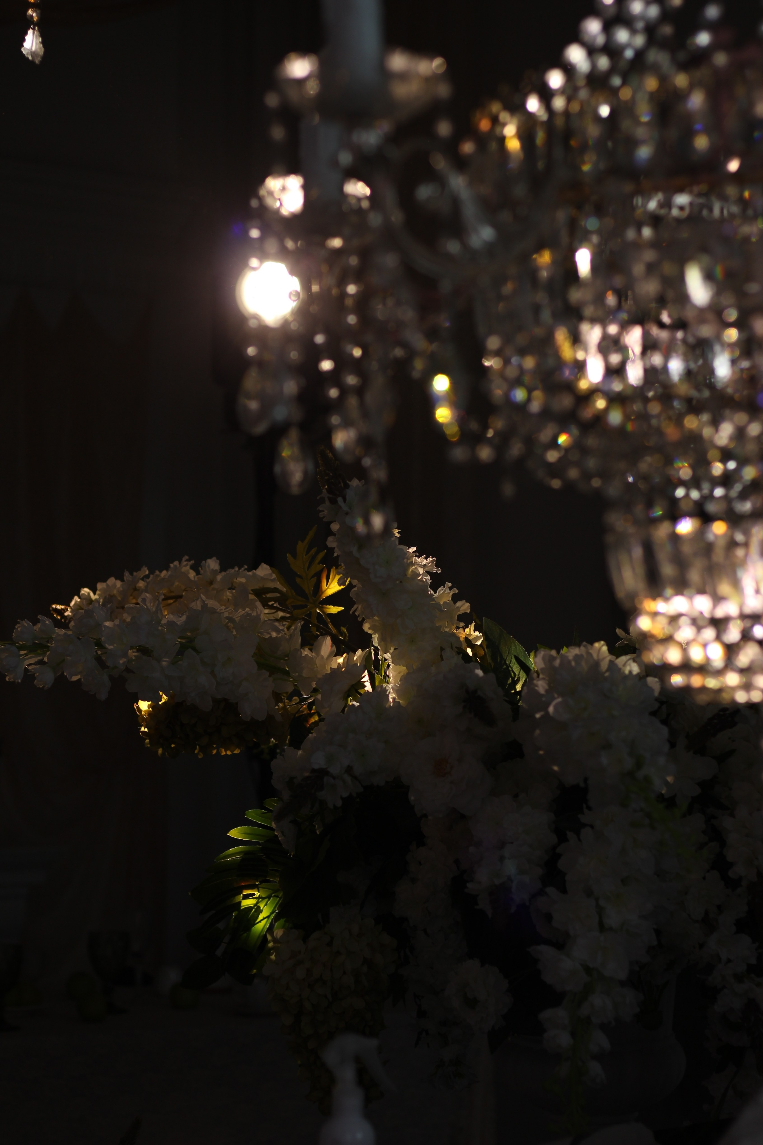 Нежная гортензия & Терпкое вино. Фотограф Красноярск