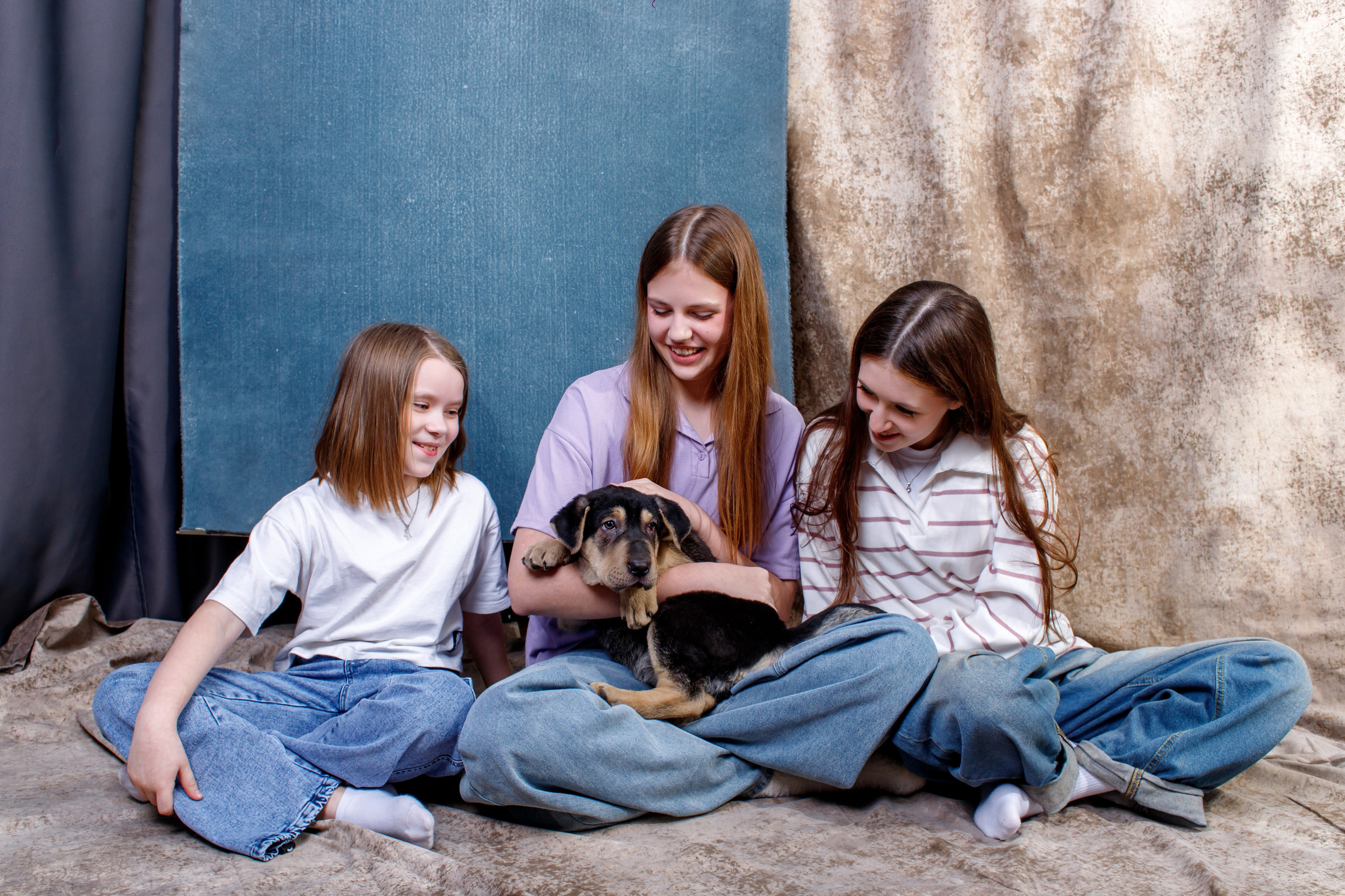 Молодёжное объединение Пропаганда помогает бездомным животным.