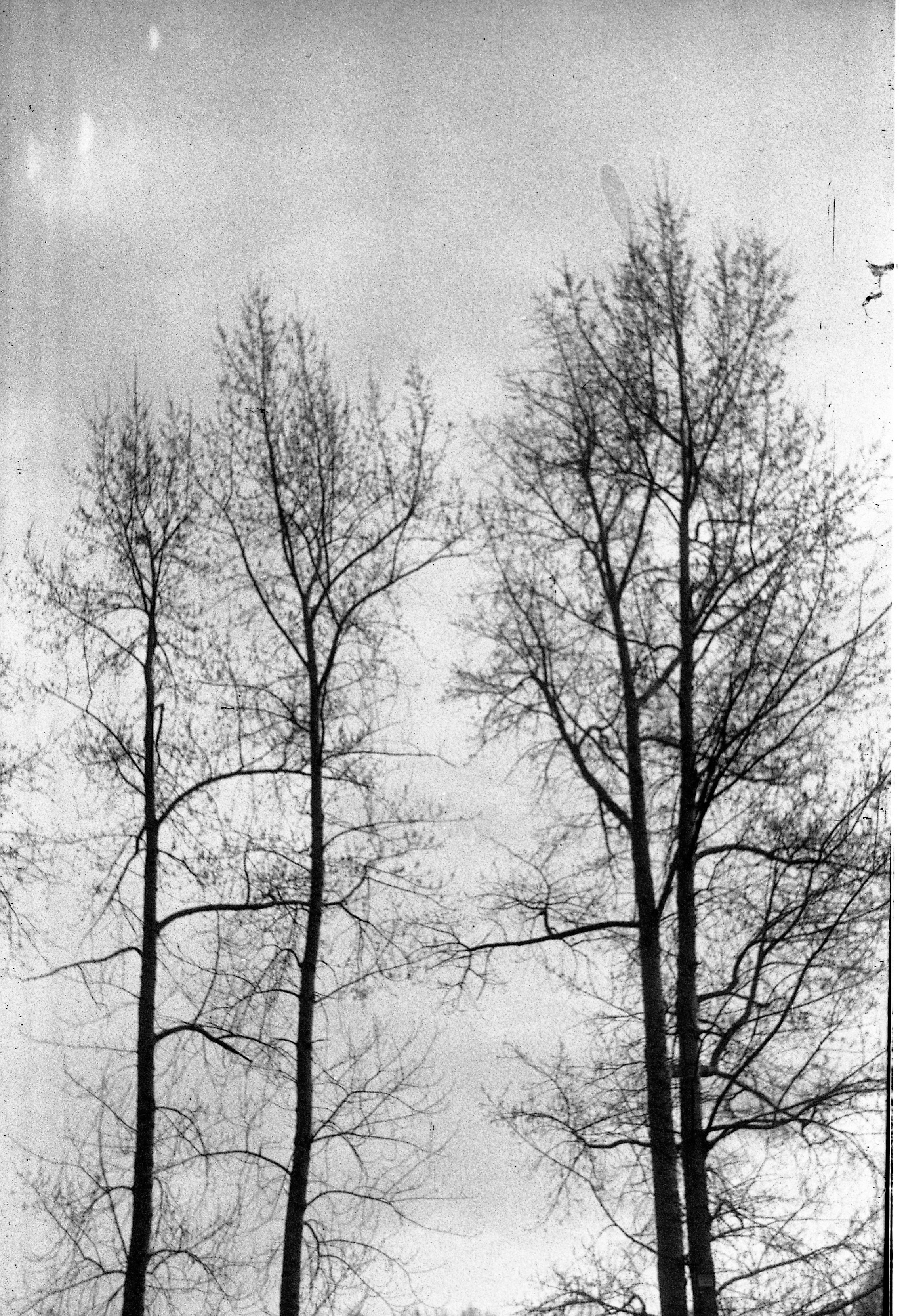 Осенние нуары. Контент-креатор Паша Норицын