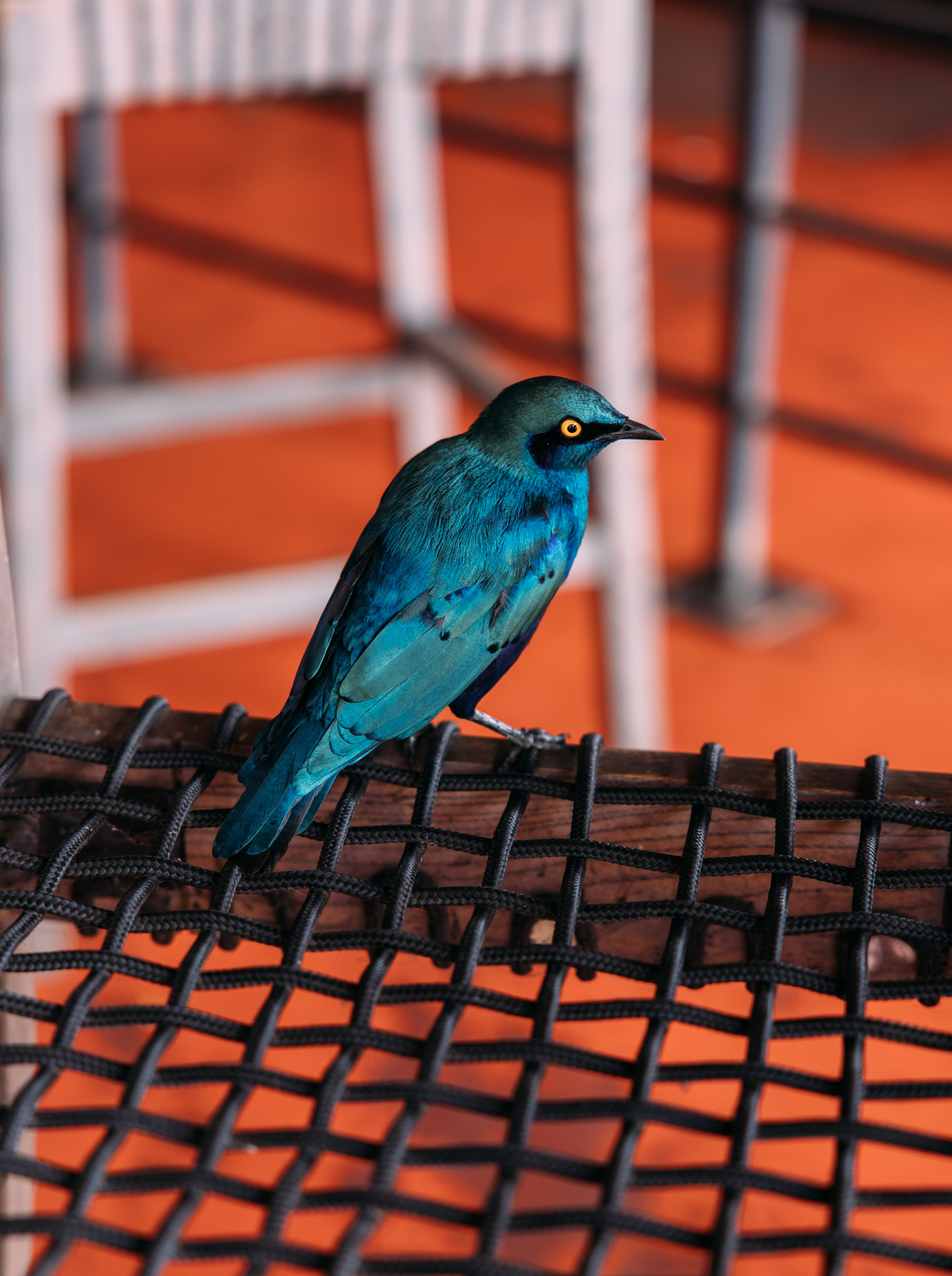 Фотограф Марина Аблаева-Кожедуб