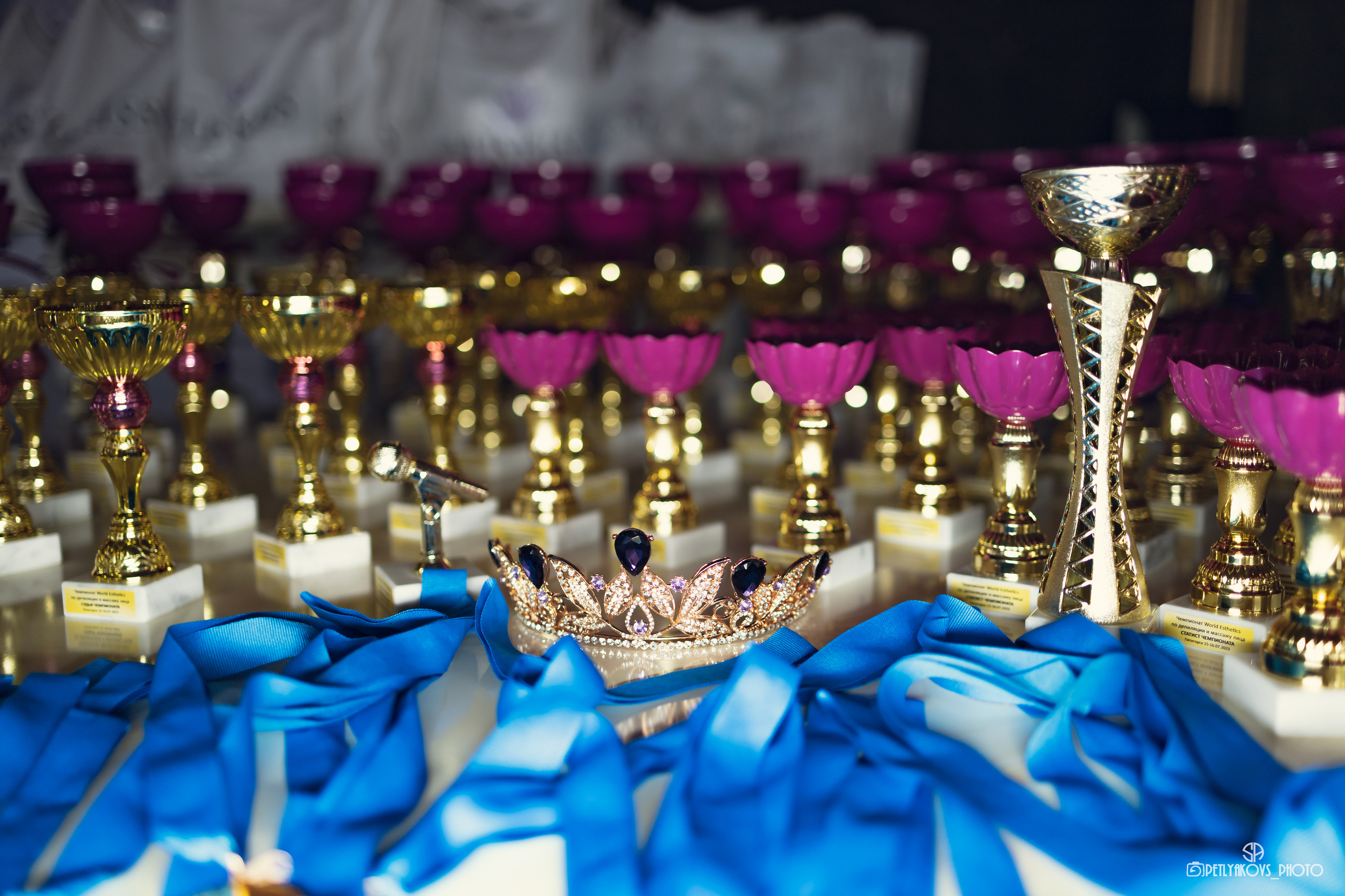 World Esthetics 2023